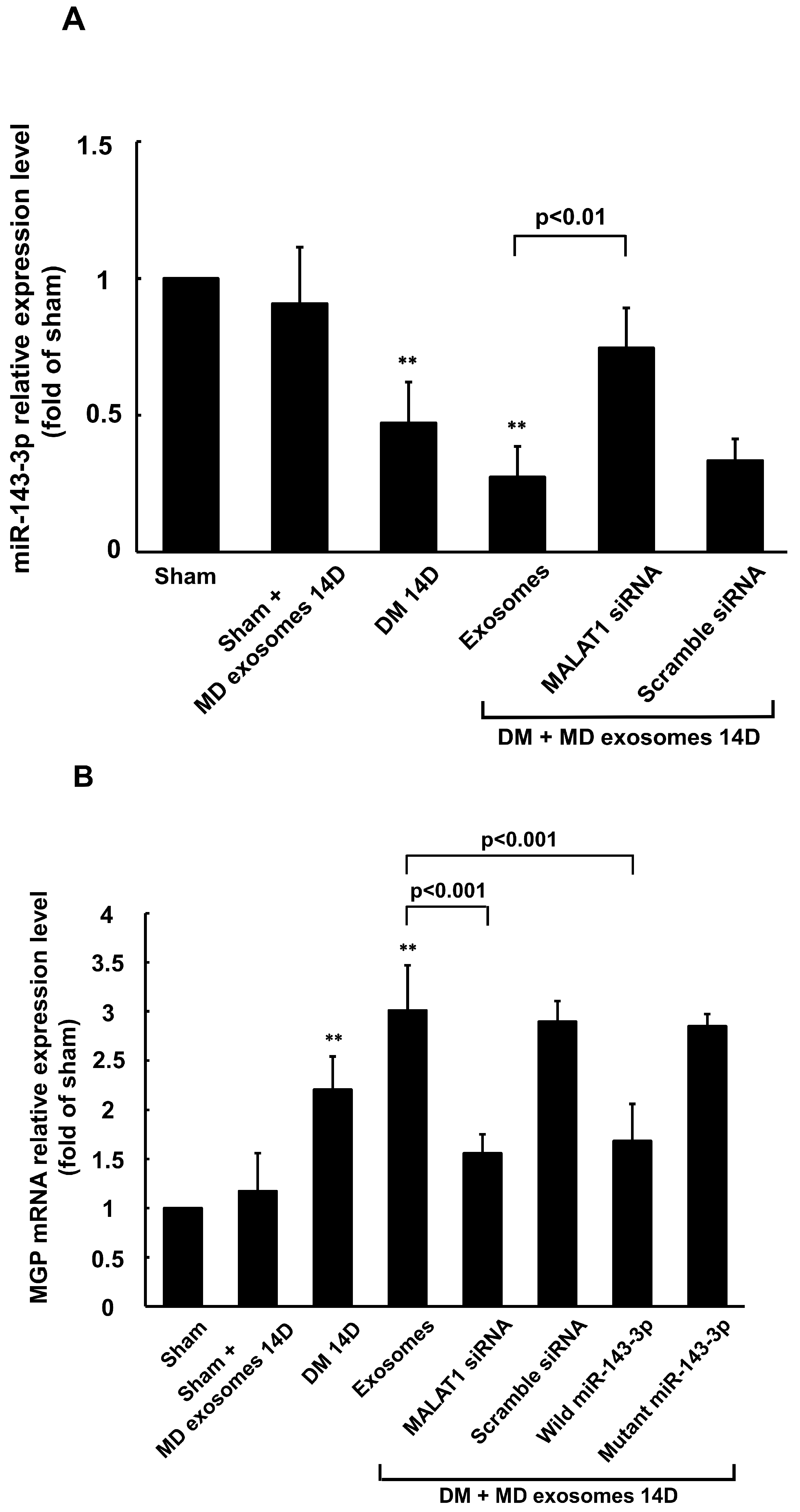 Cells 14 01995 g007a Cells 14 01995 g007a