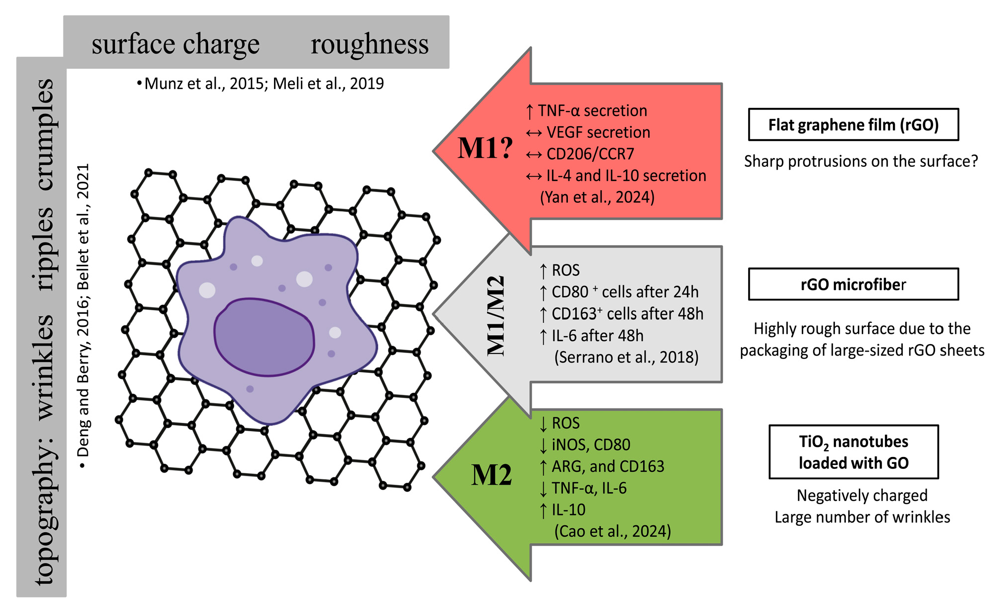 Cells 14 02001 g008 Cells 14 02001 g008