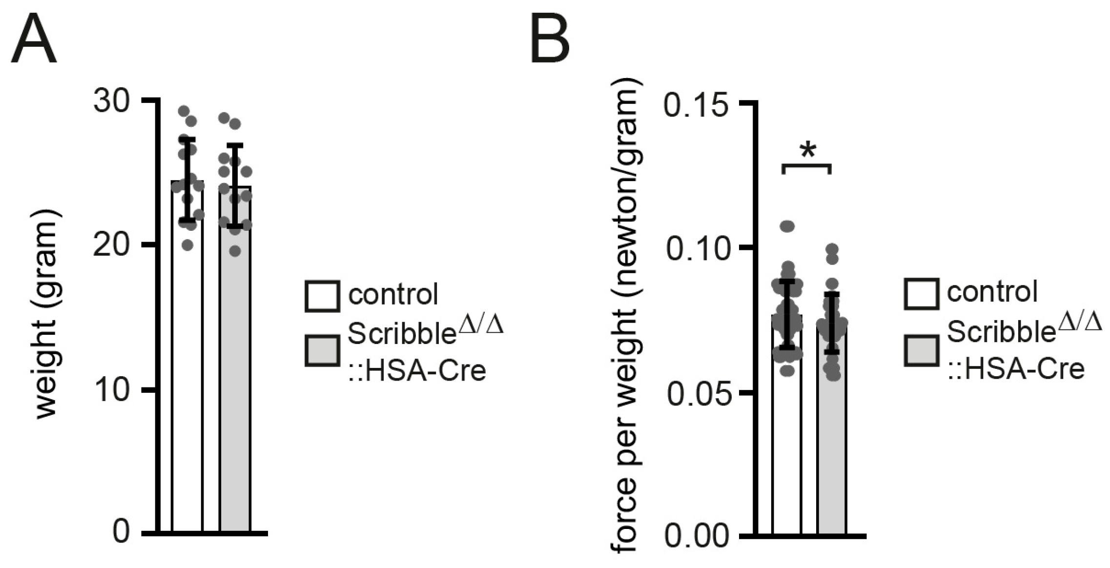 Cells 14 02005 g002 Cells 14 02005 g002
