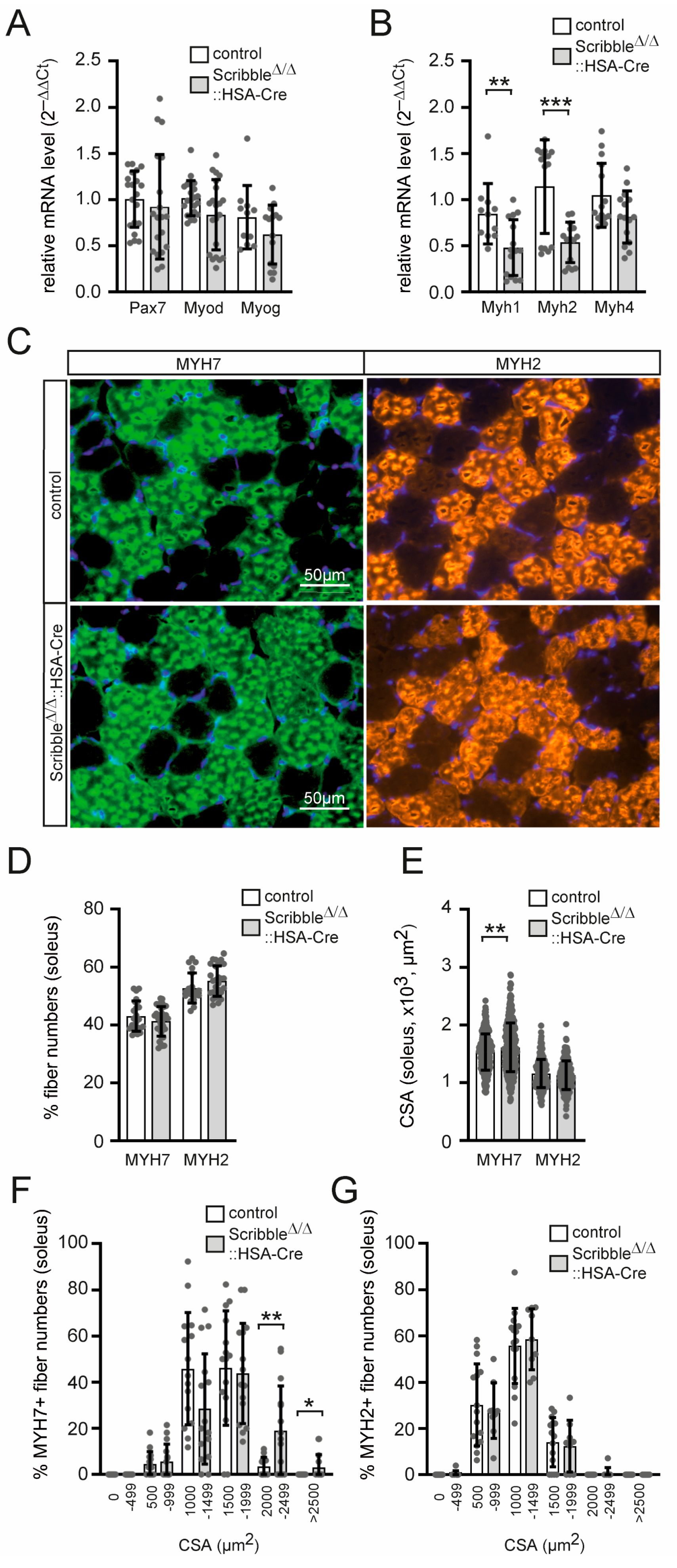 Cells 14 02005 g005 Cells 14 02005 g005