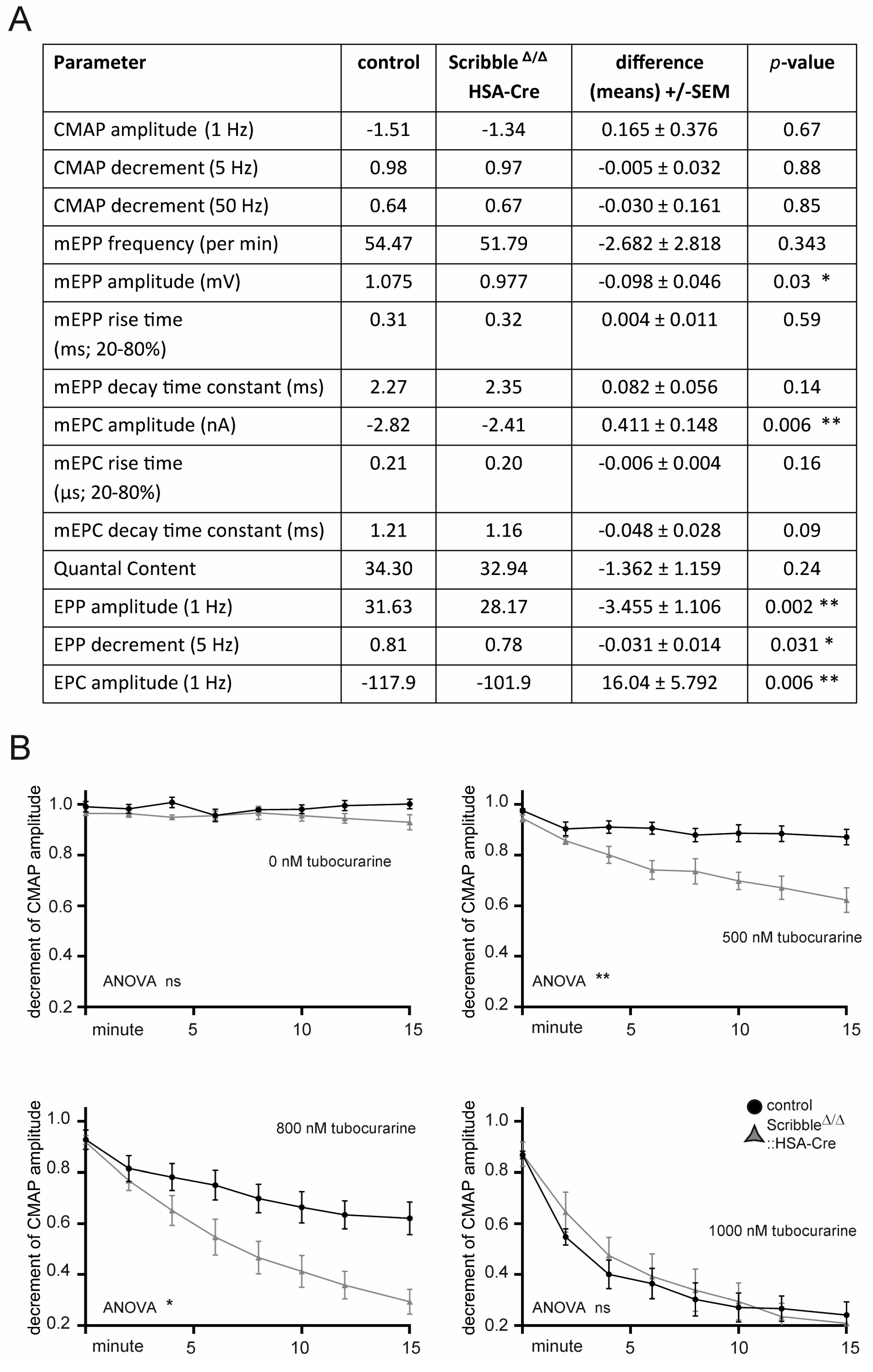 Cells 14 02005 g006 Cells 14 02005 g006
