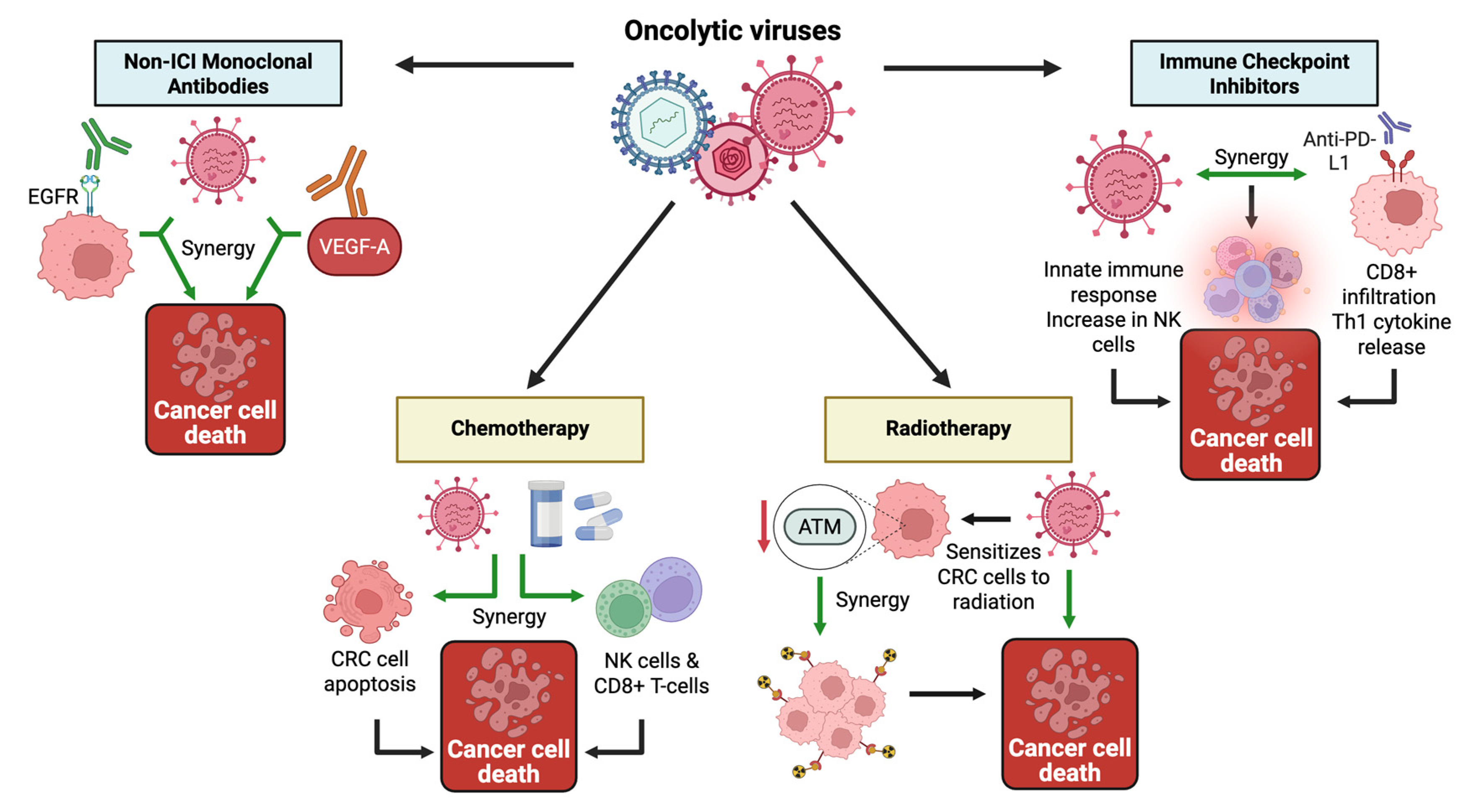 Cells 14 02006 g002 Cells 14 02006 g002