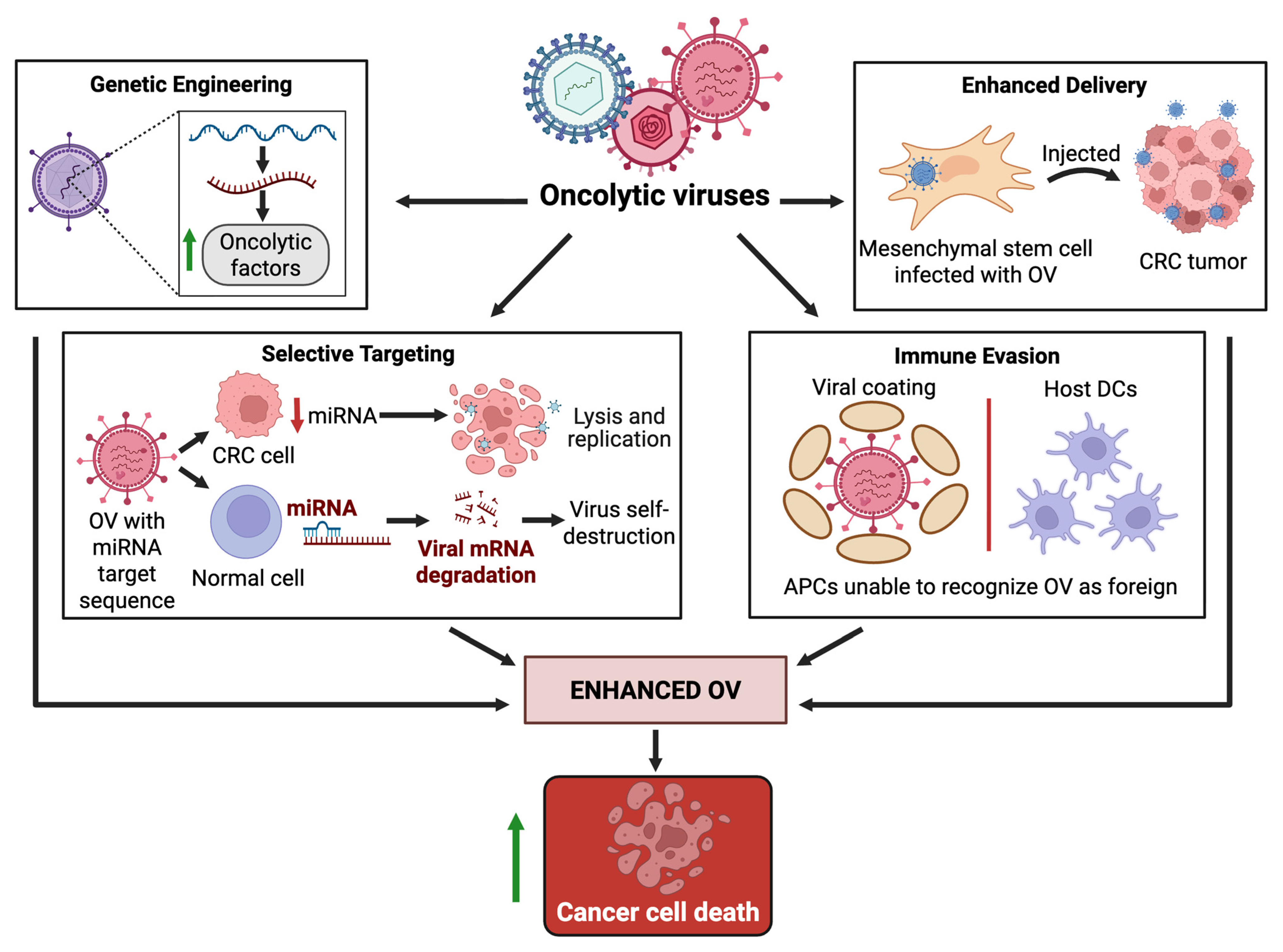 Cells 14 02006 g003 Cells 14 02006 g003