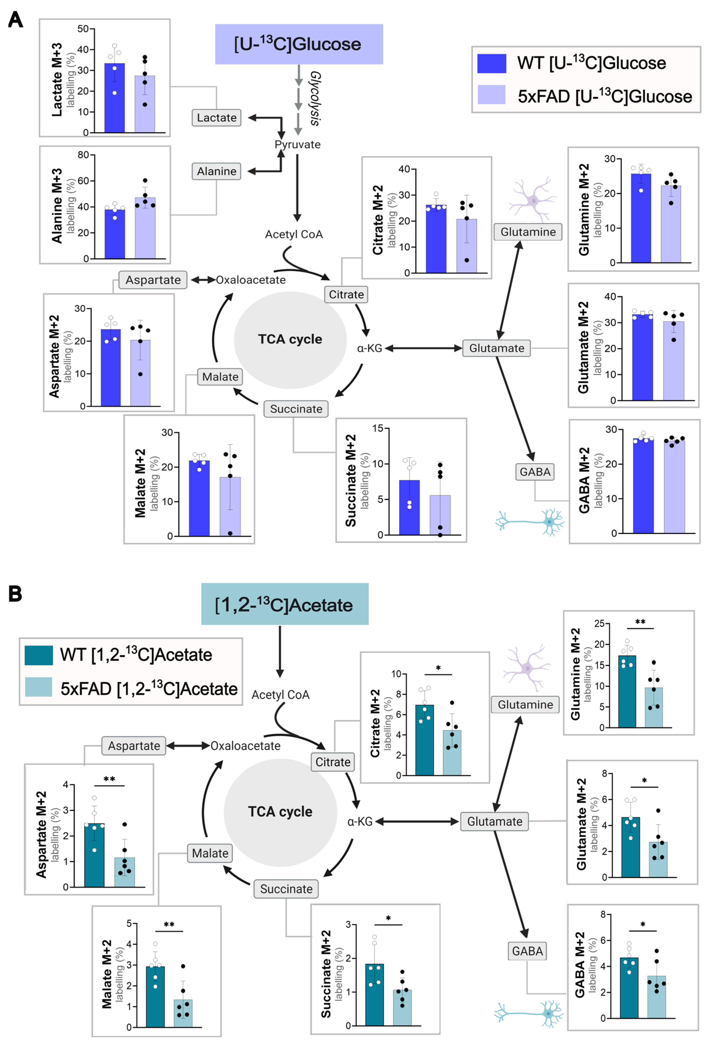 Cells 14 02007 g001 Cells 14 02007 g001