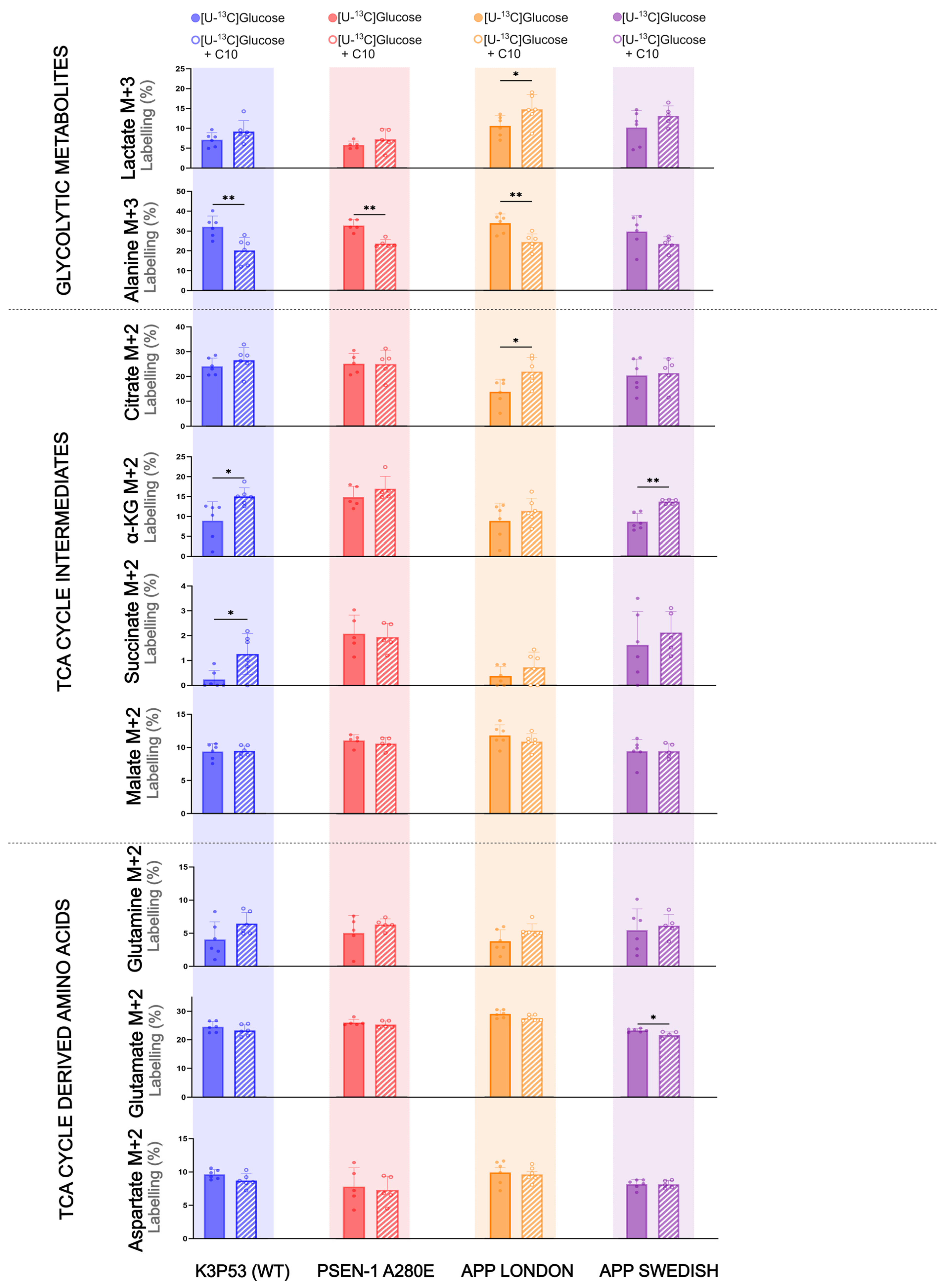 Cells 14 02007 g003 Cells 14 02007 g003