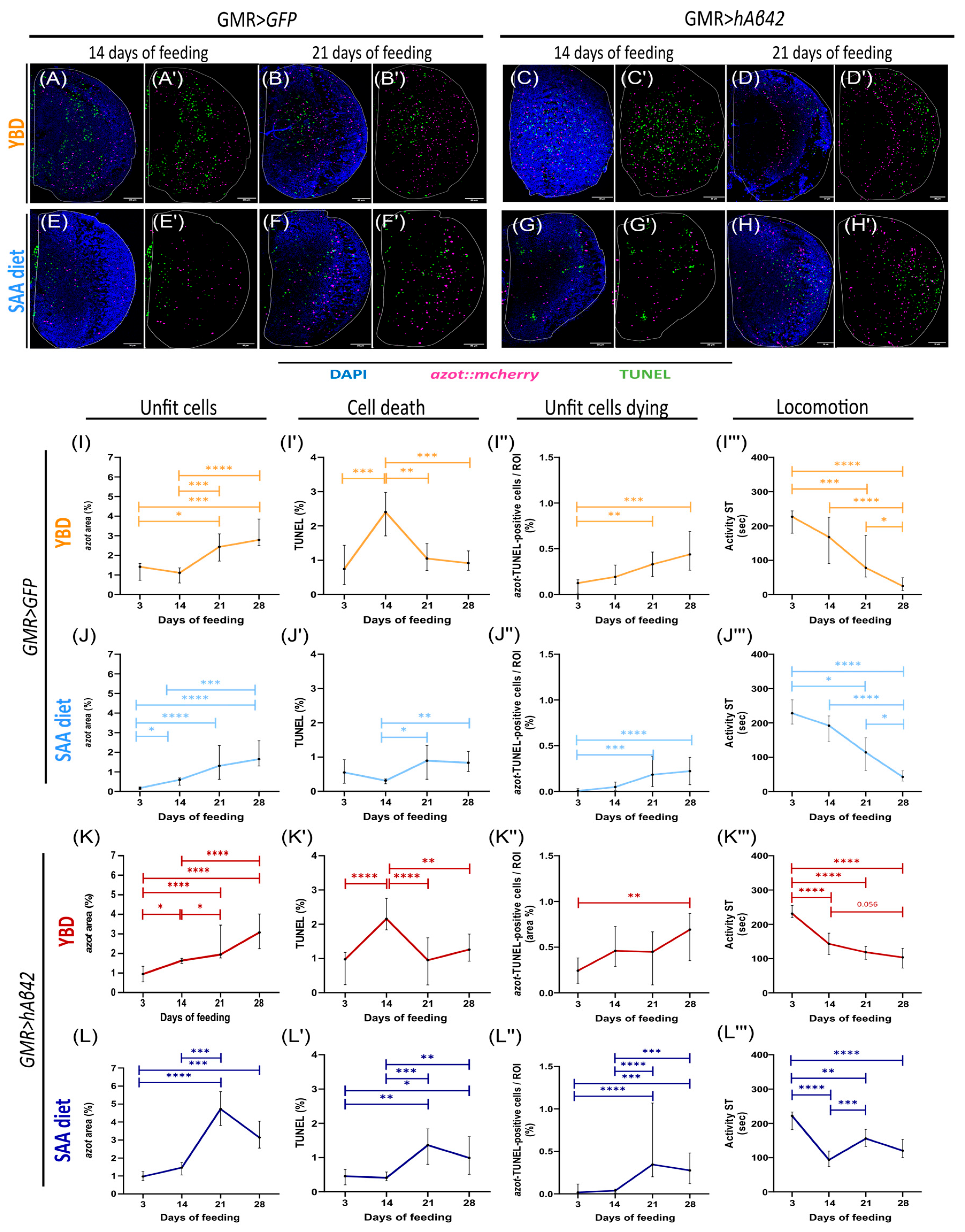 Cells 14 02011 g001 Cells 14 02011 g001