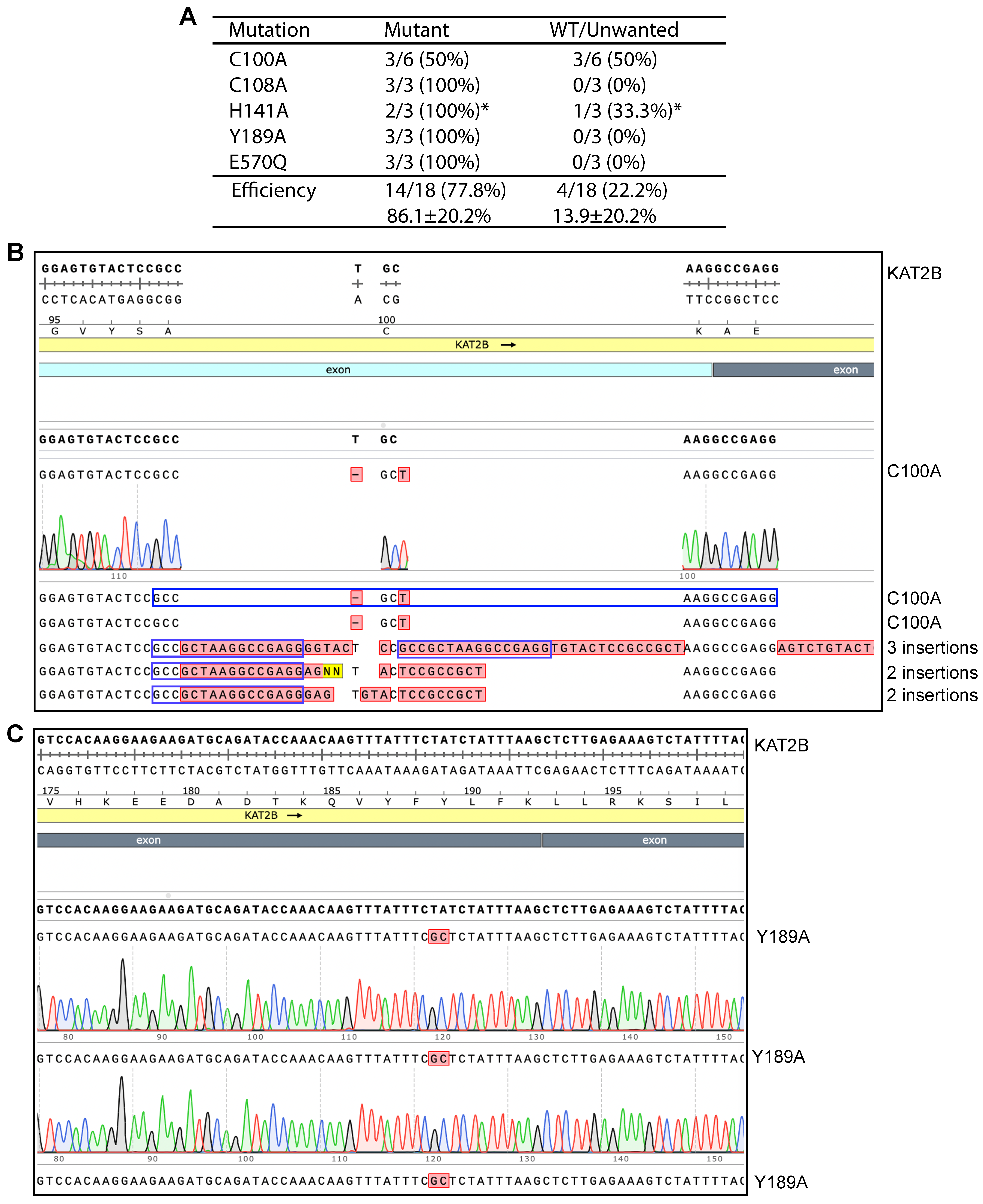 Cells 14 02016 g003 Cells 14 02016 g003