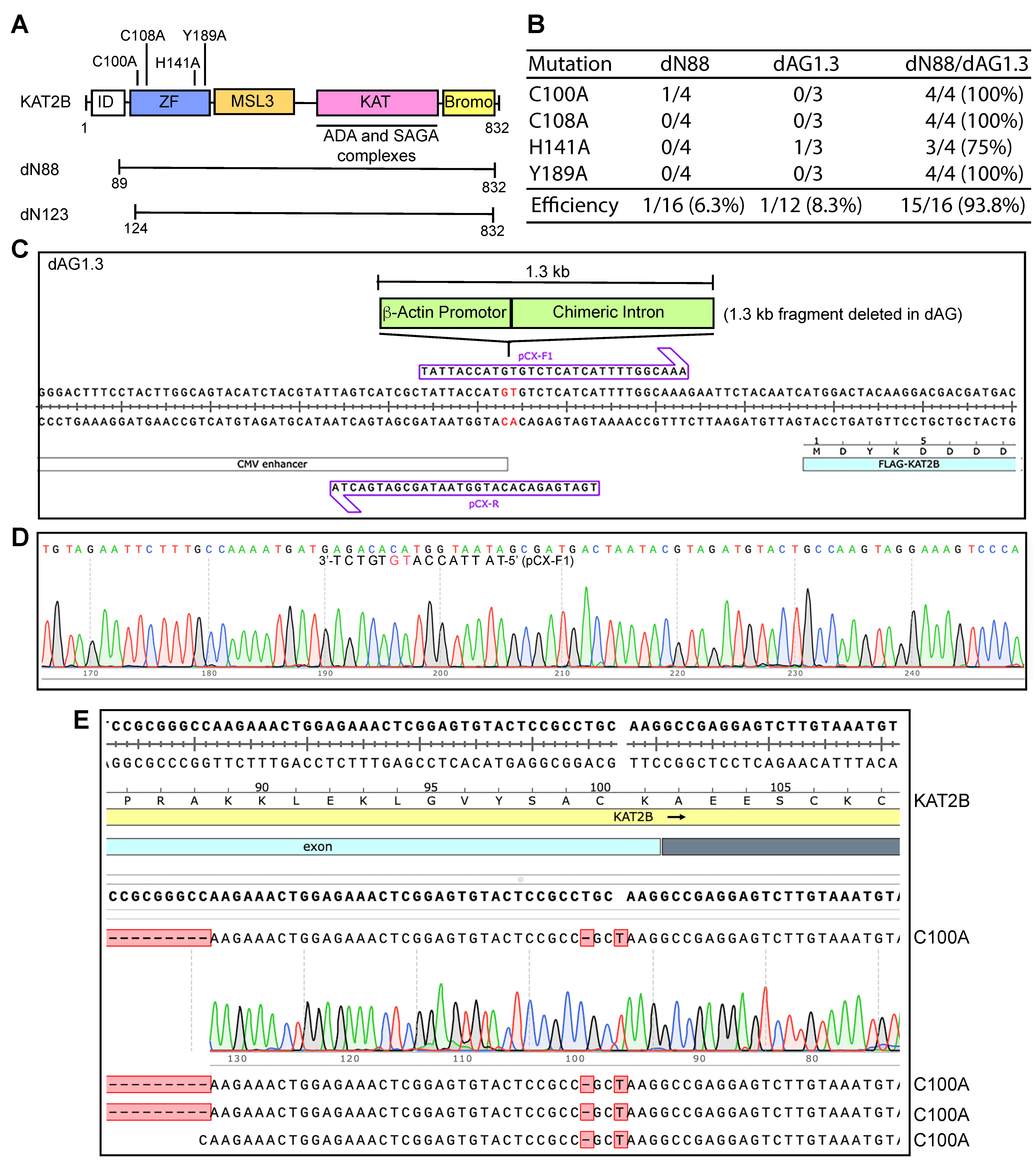 Cells 14 02016 g004 Cells 14 02016 g004