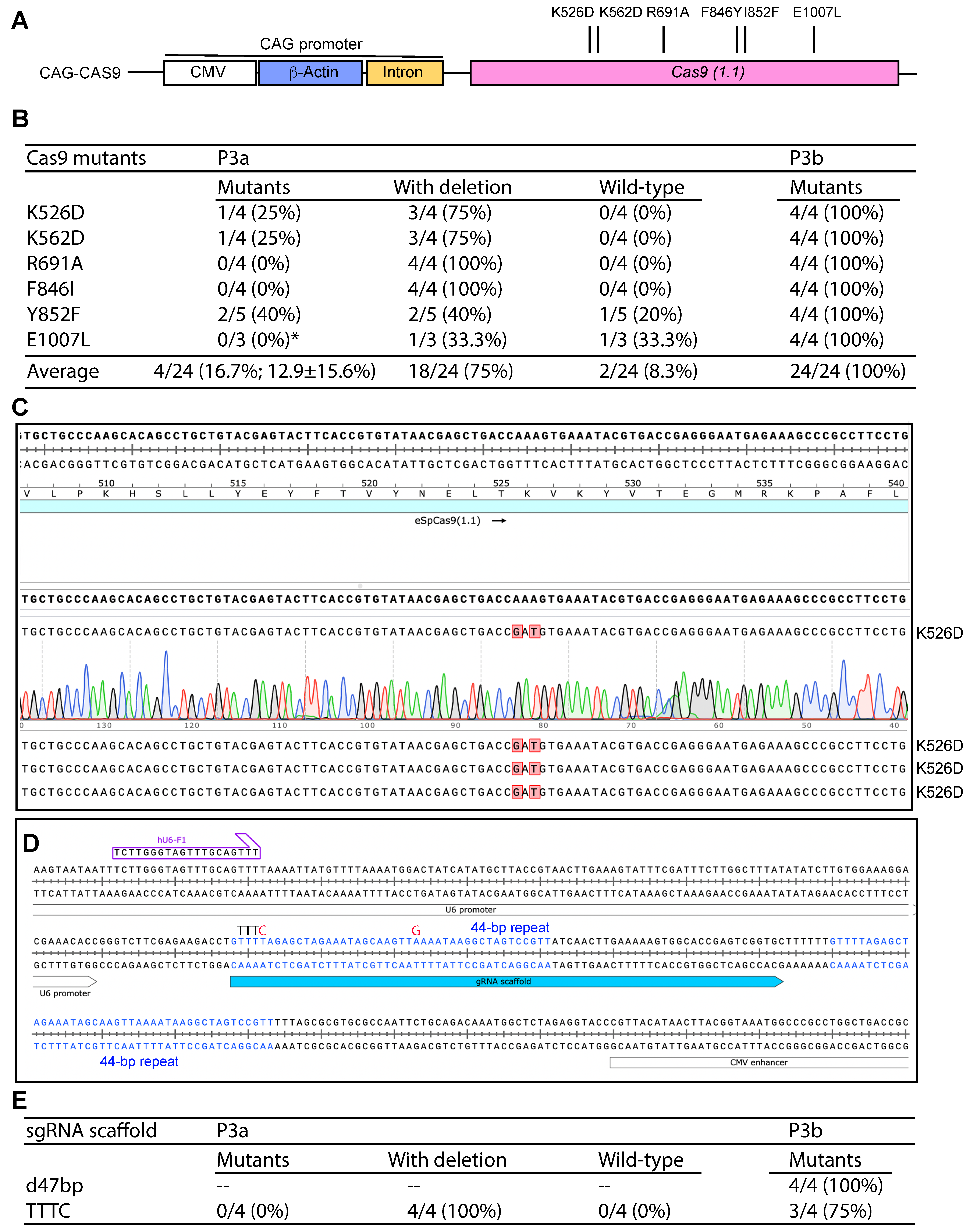 Cells 14 02016 g005 Cells 14 02016 g005