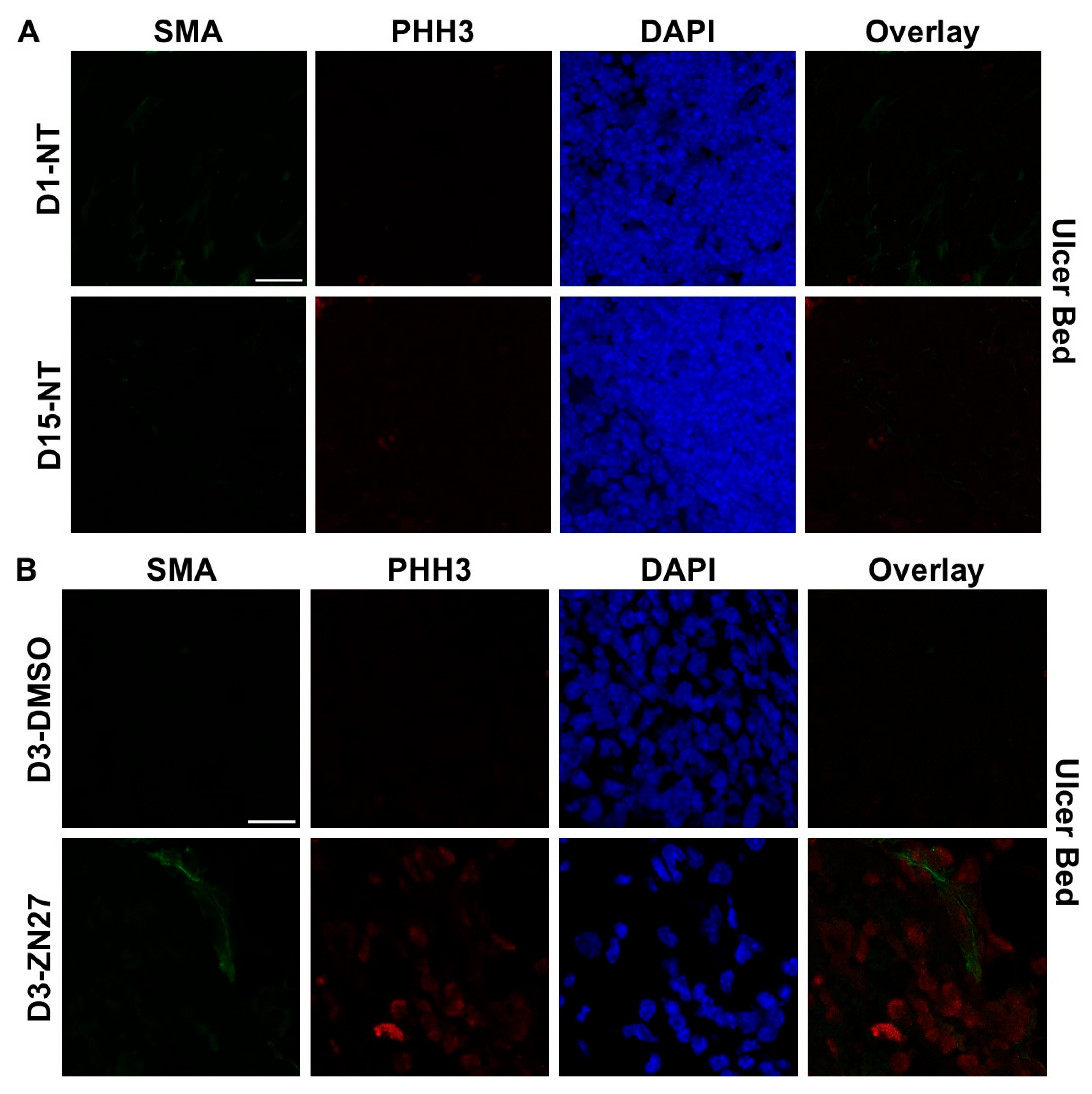 Cells 15 00016 g002a
