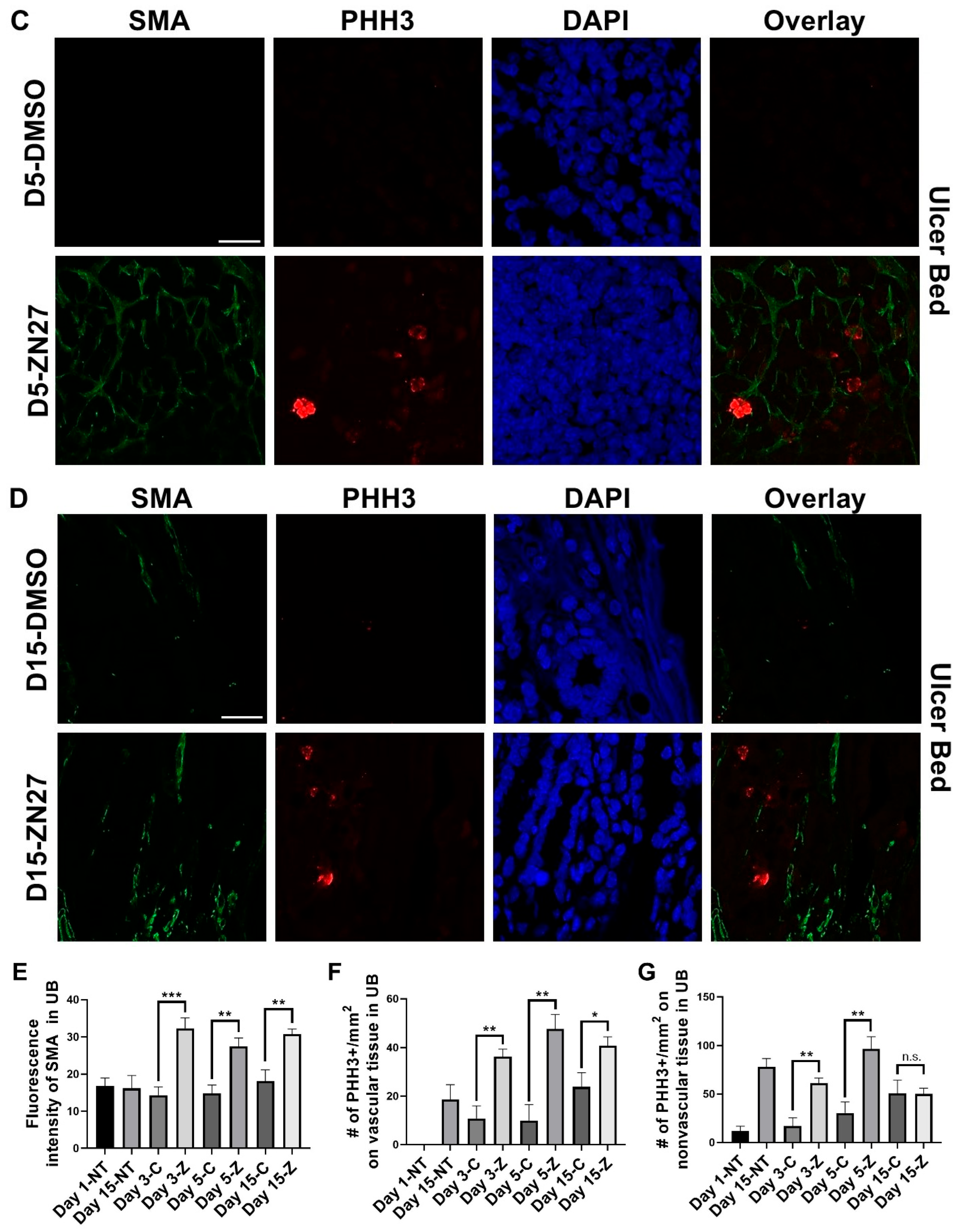 Cells 15 00016 g002b