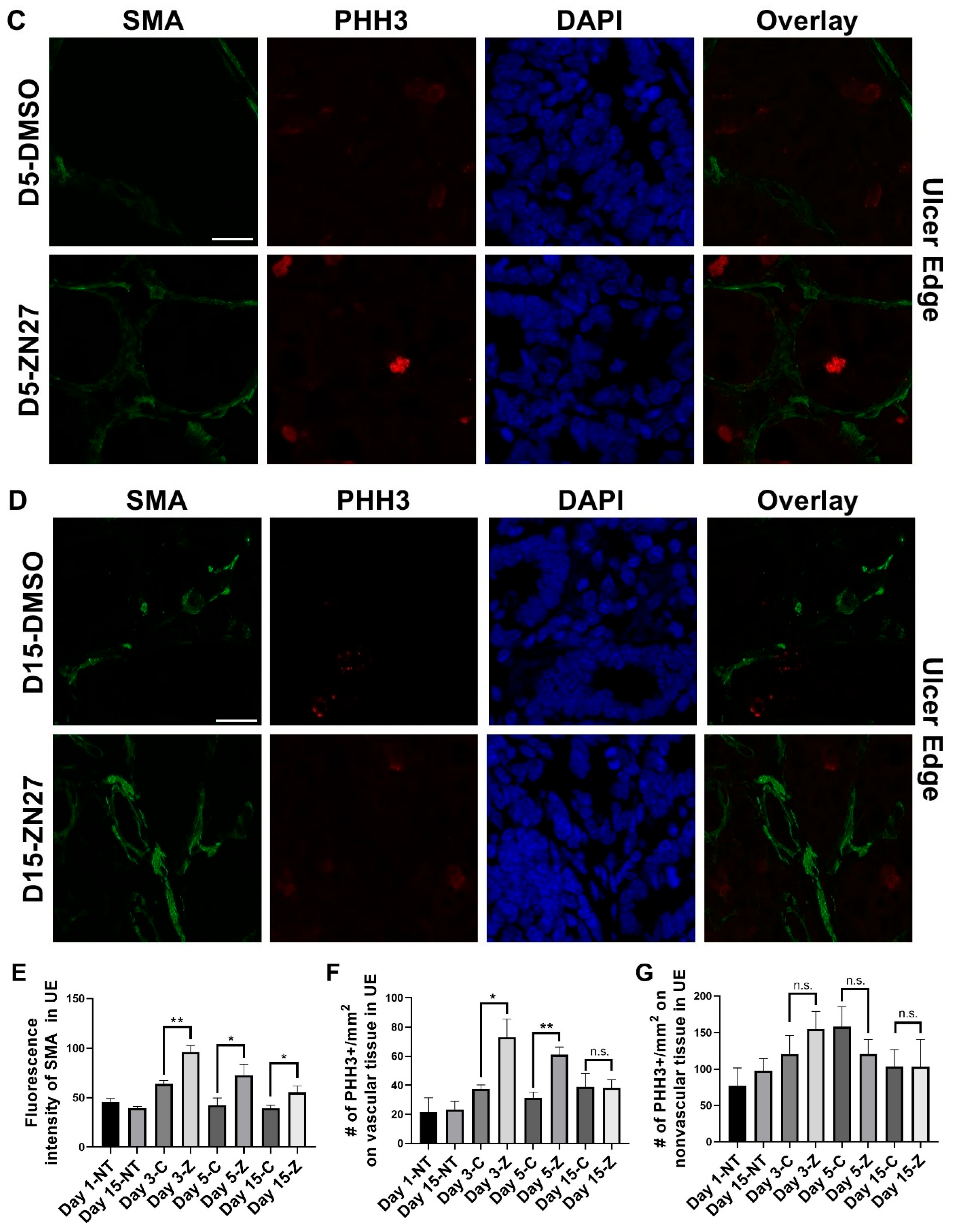 Cells 15 00016 g003b