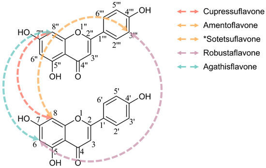 Hinokiflavone as a Potential Antitumor Agent: From Pharmacology to
