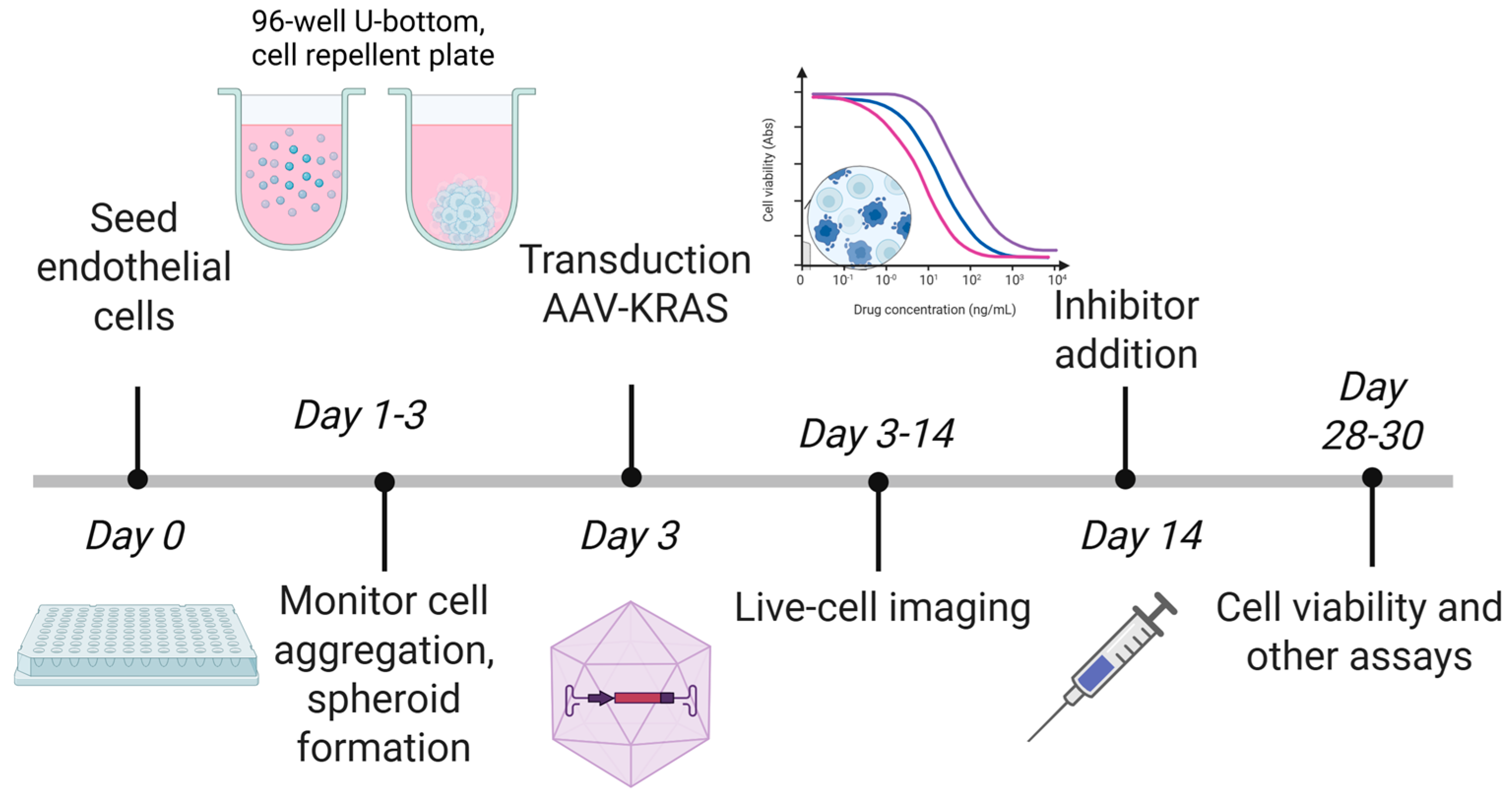 Cells 15 00022 g001 Cells 15 00022 g001
