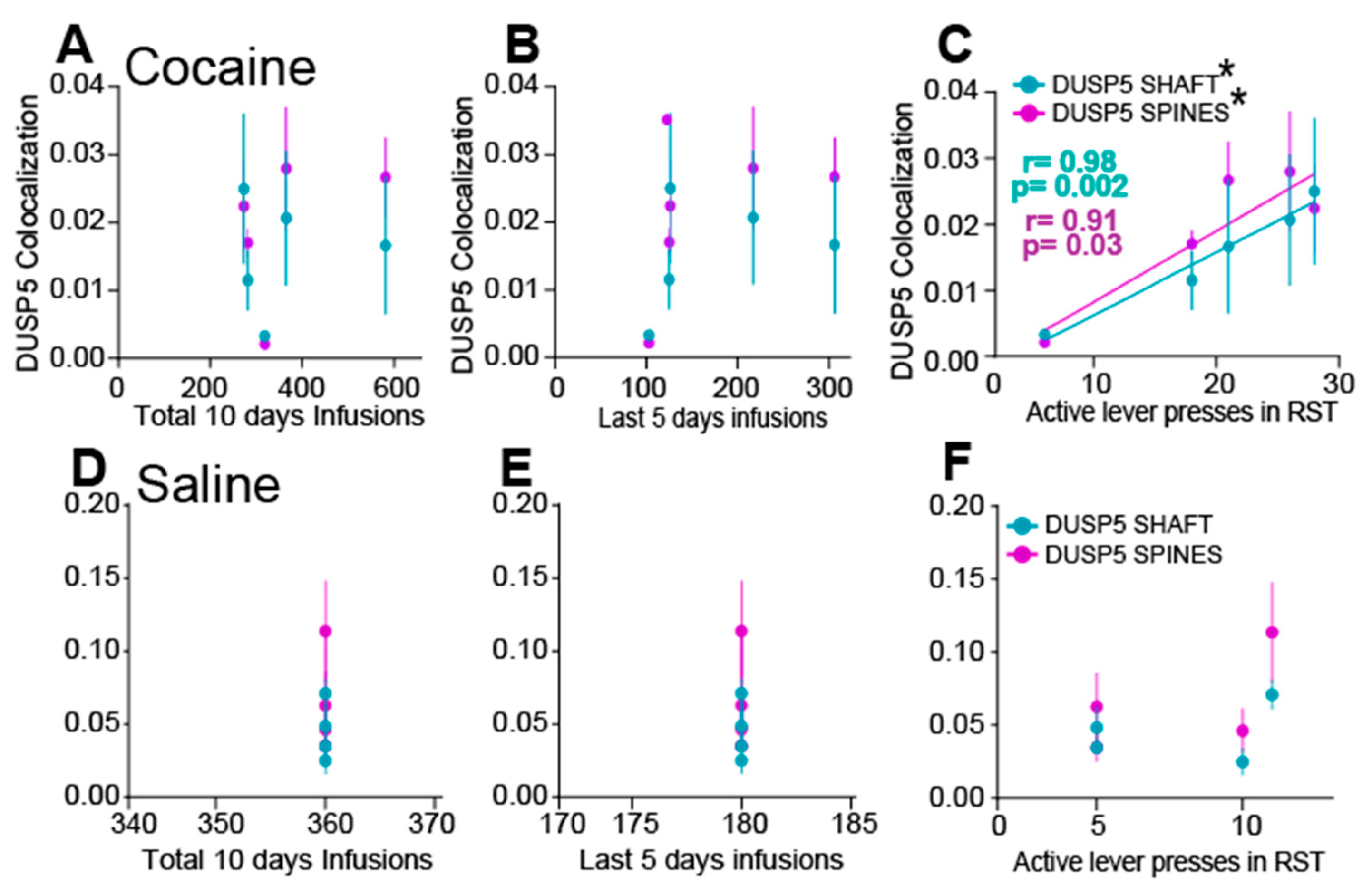 Cells 15 00032 g003 Cells 15 00032 g003
