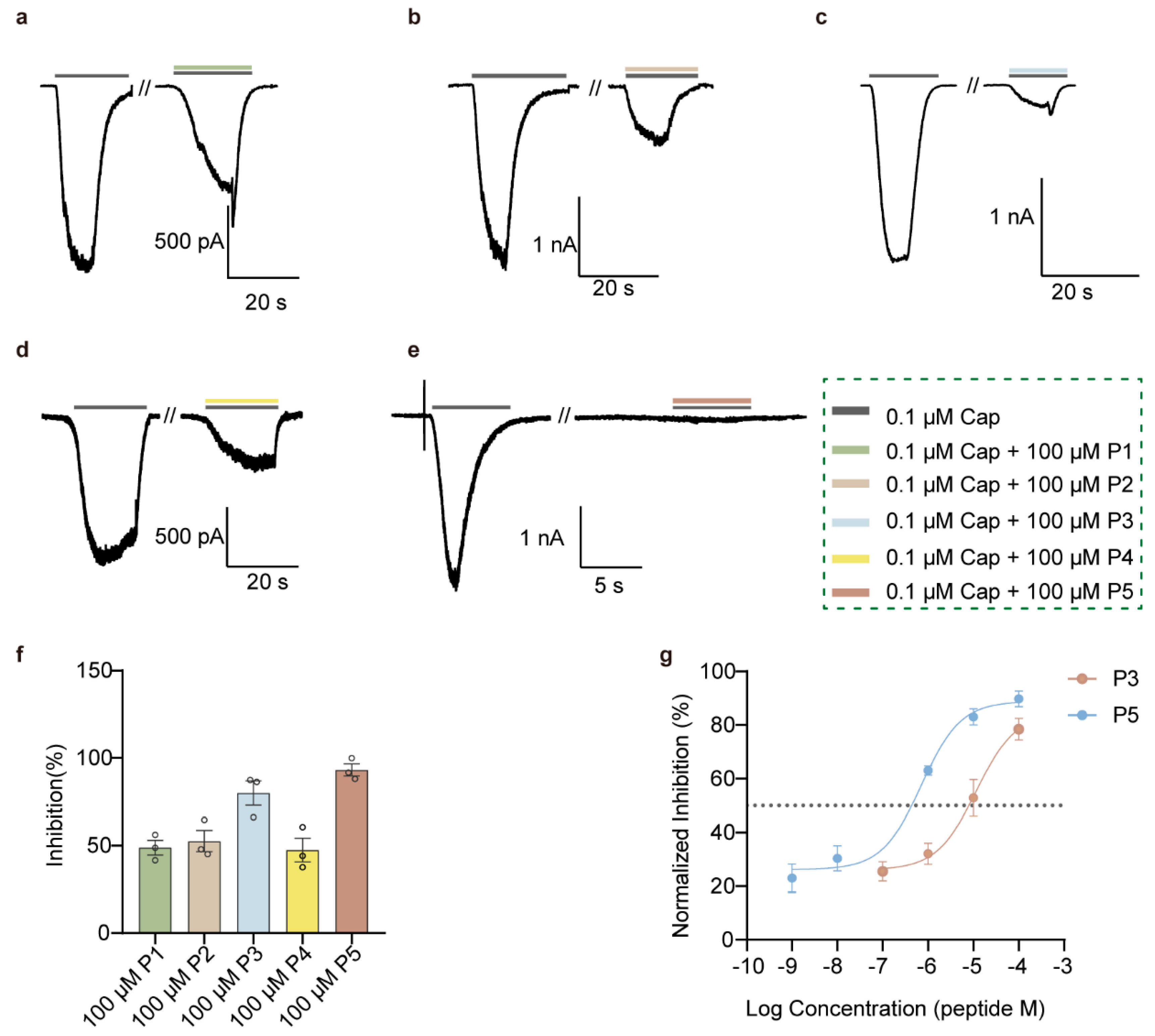 Cells 15 00079 g002 Cells 15 00079 g002