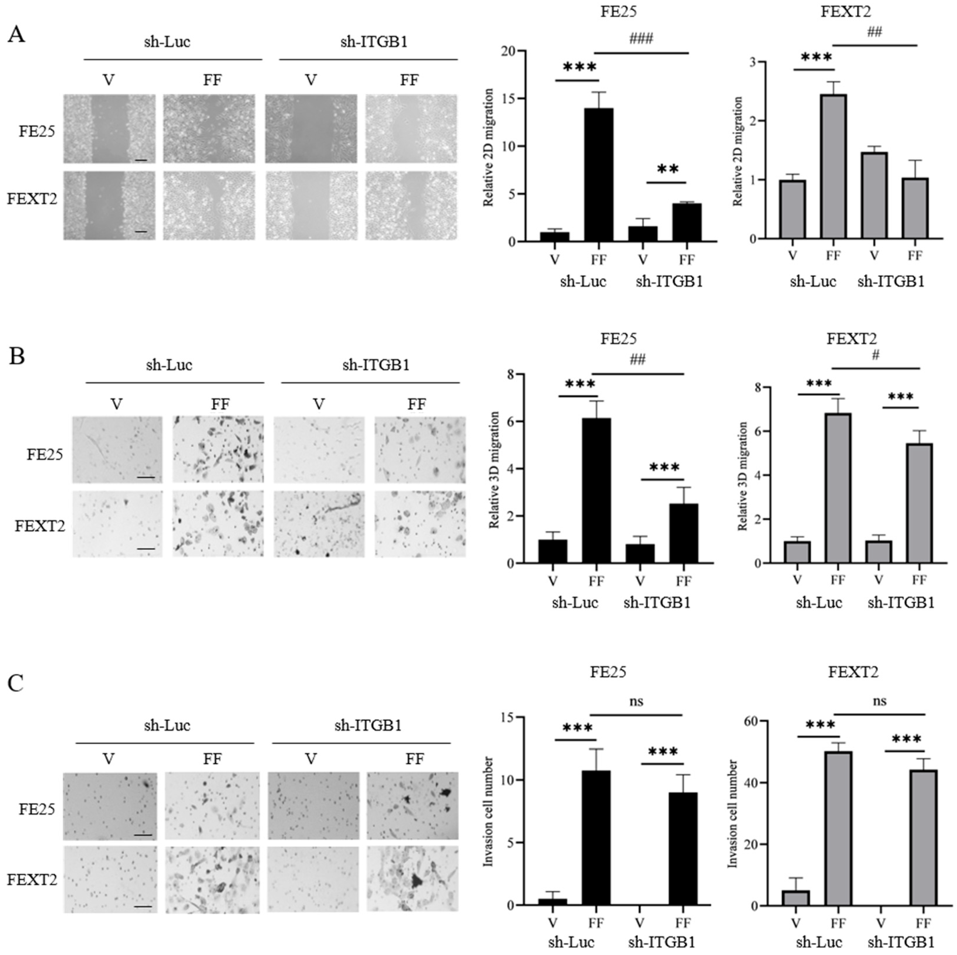 Cells 15 00080 g004 Cells 15 00080 g004