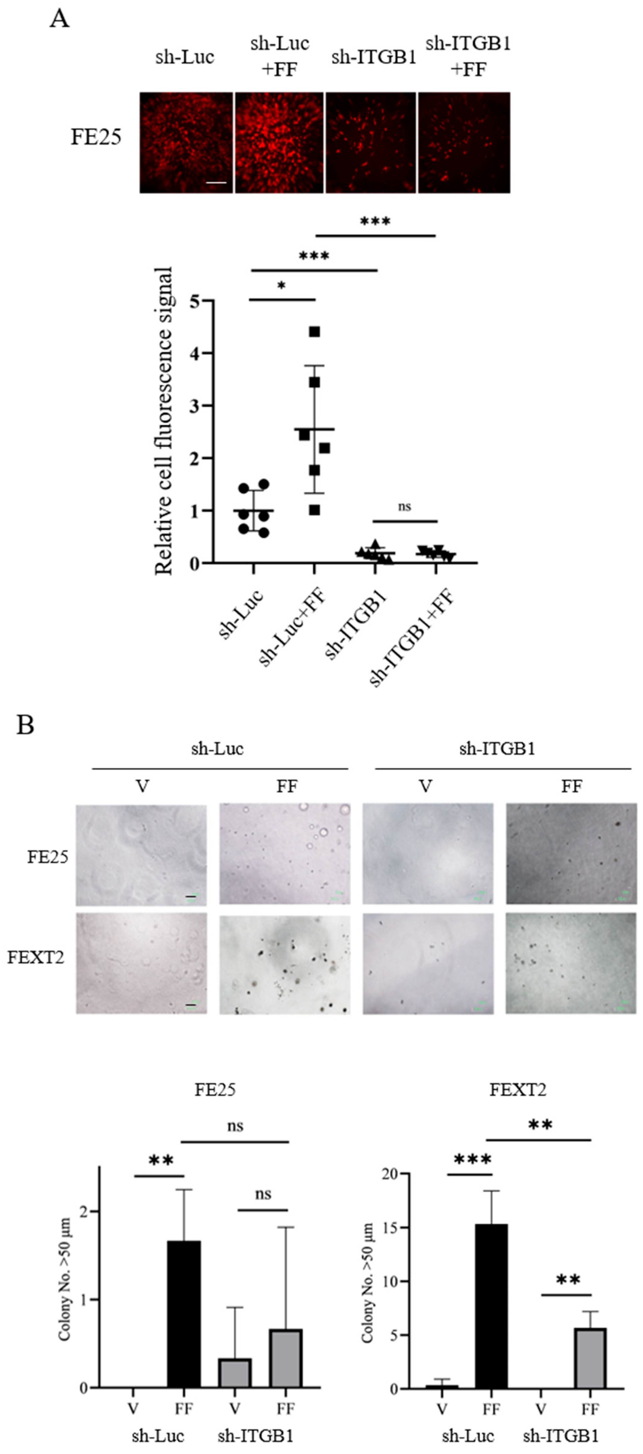 Cells 15 00080 g005 Cells 15 00080 g005