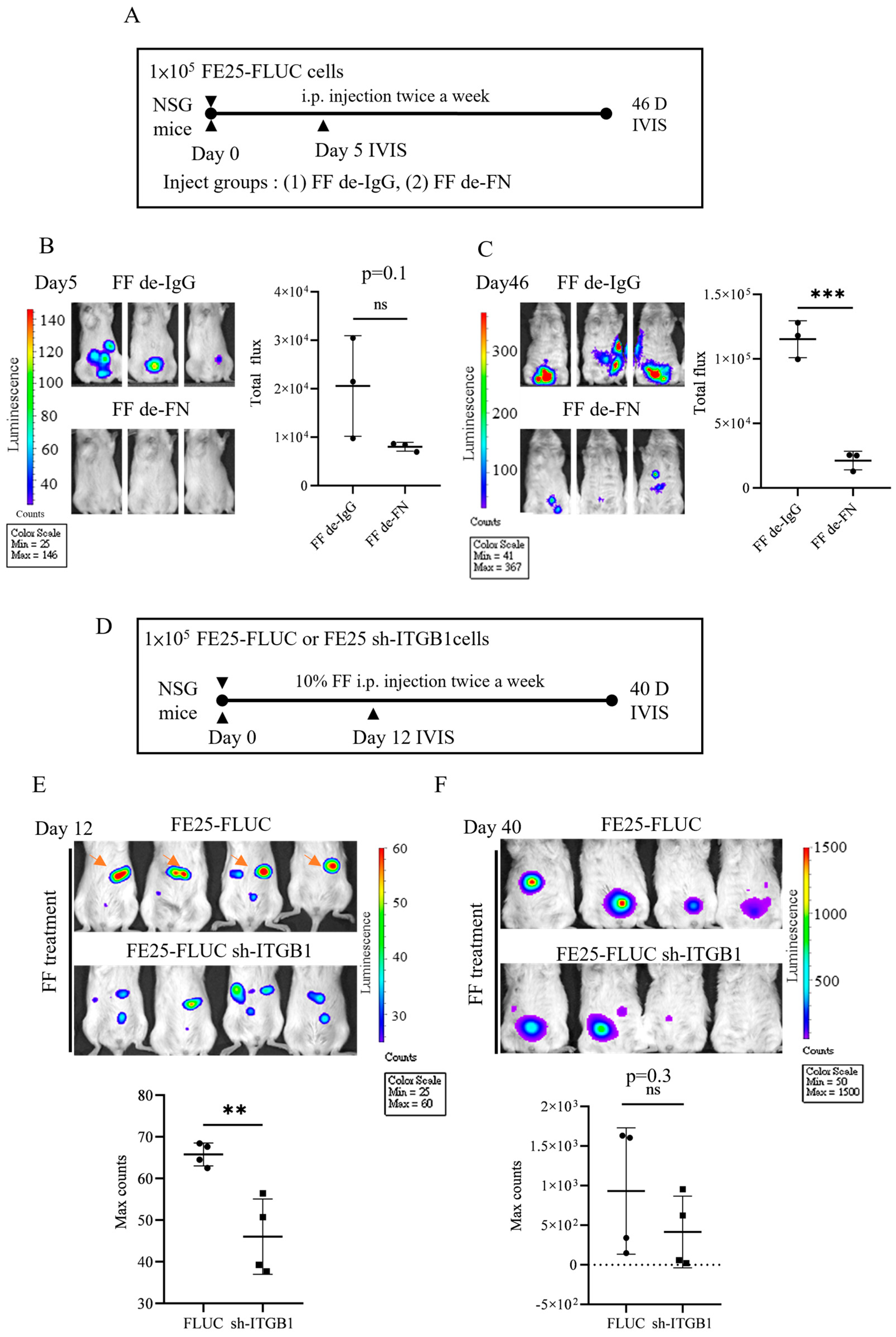 Cells 15 00080 g006 Cells 15 00080 g006