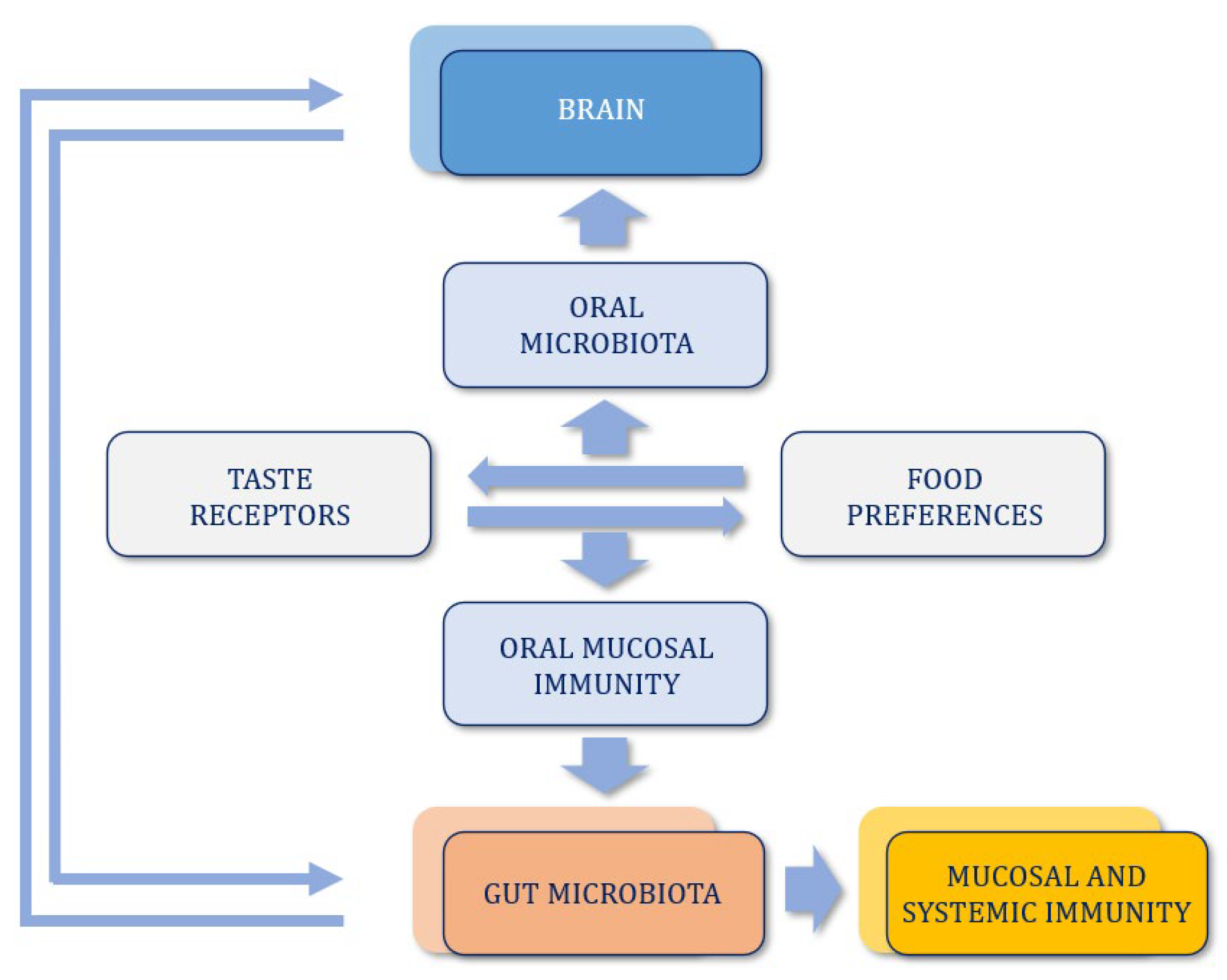 Cells 15 00082 g002 Cells 15 00082 g002