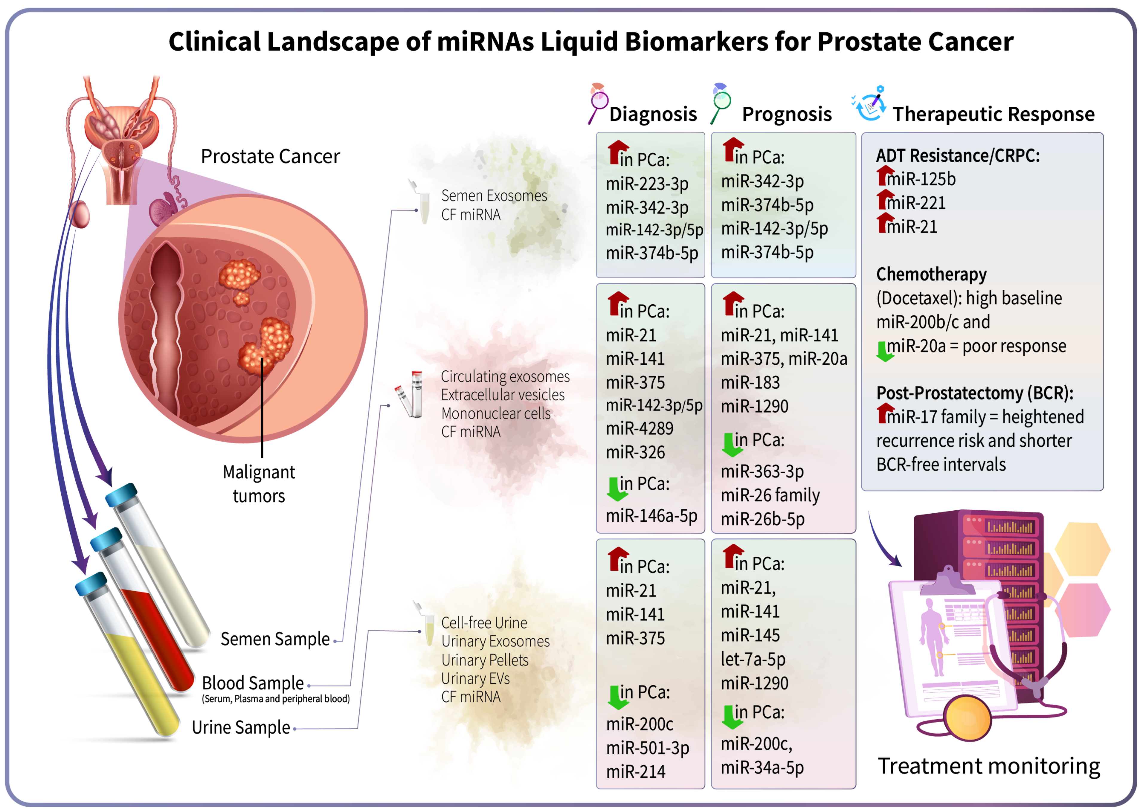 Cells 15 00083 g002 Cells 15 00083 g002