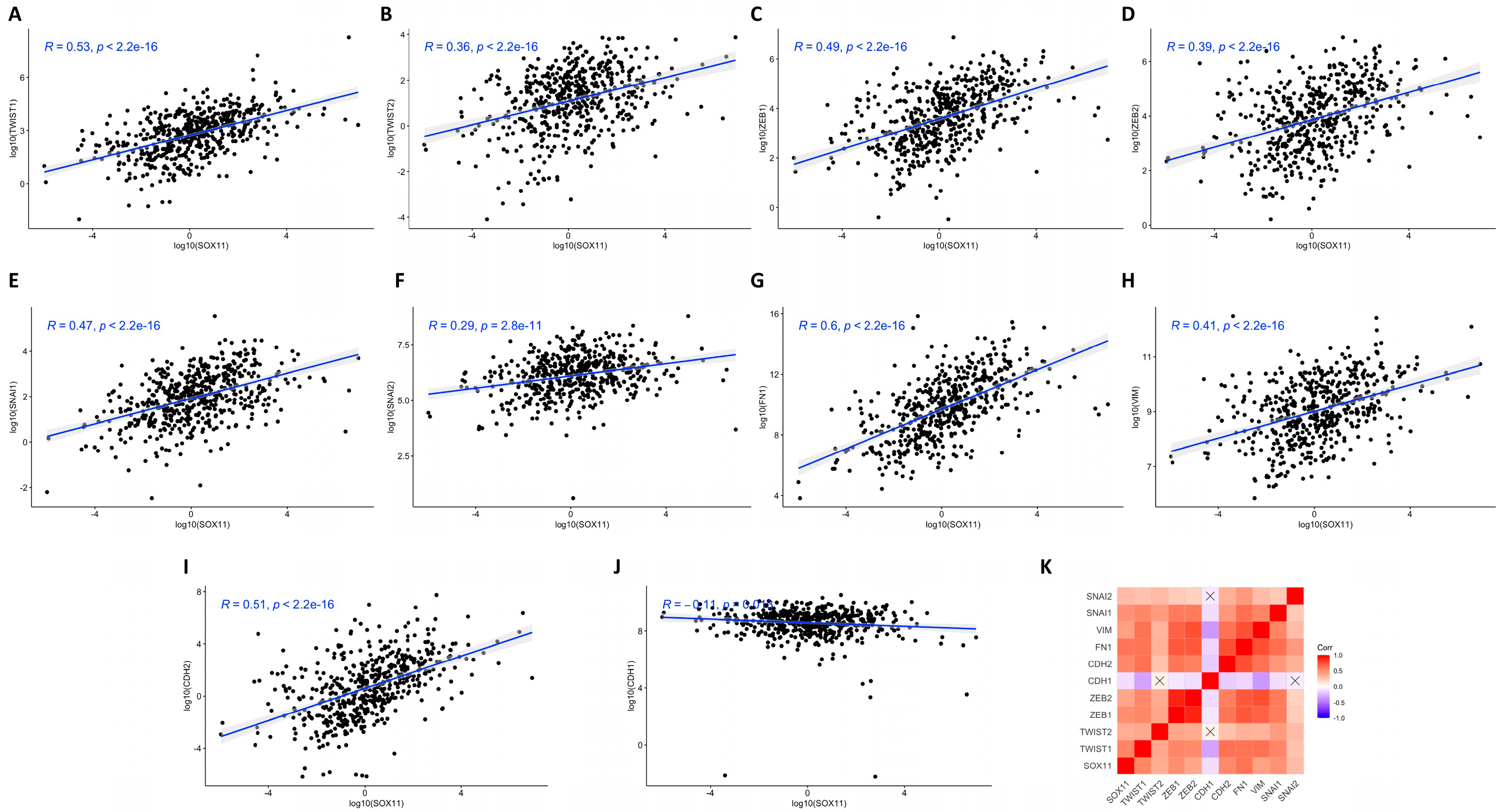 Cells 15 00084 g005 Cells 15 00084 g005