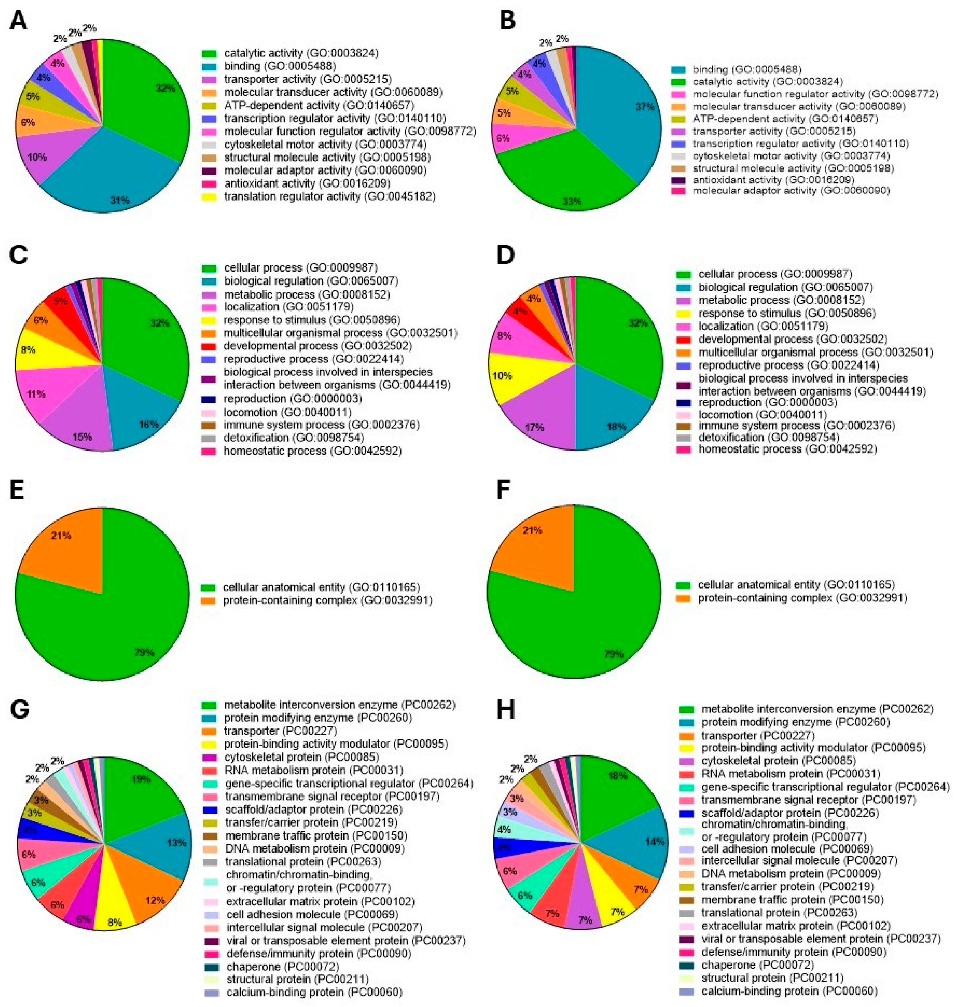 Cells 15 00085 g005 Cells 15 00085 g005