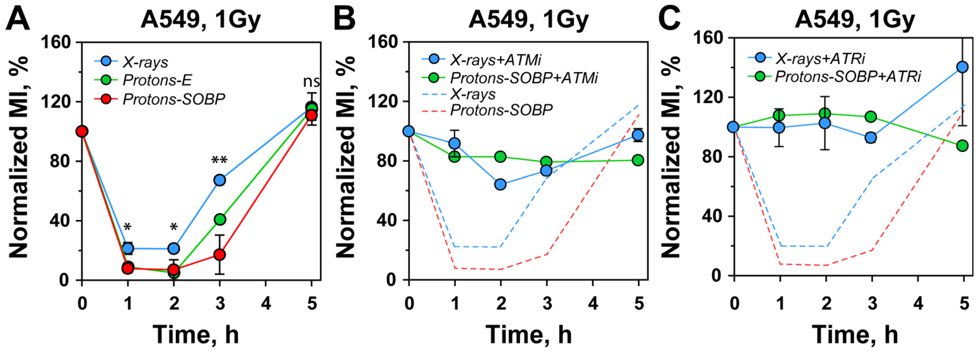 Cells 15 00086 g003 Cells 15 00086 g003