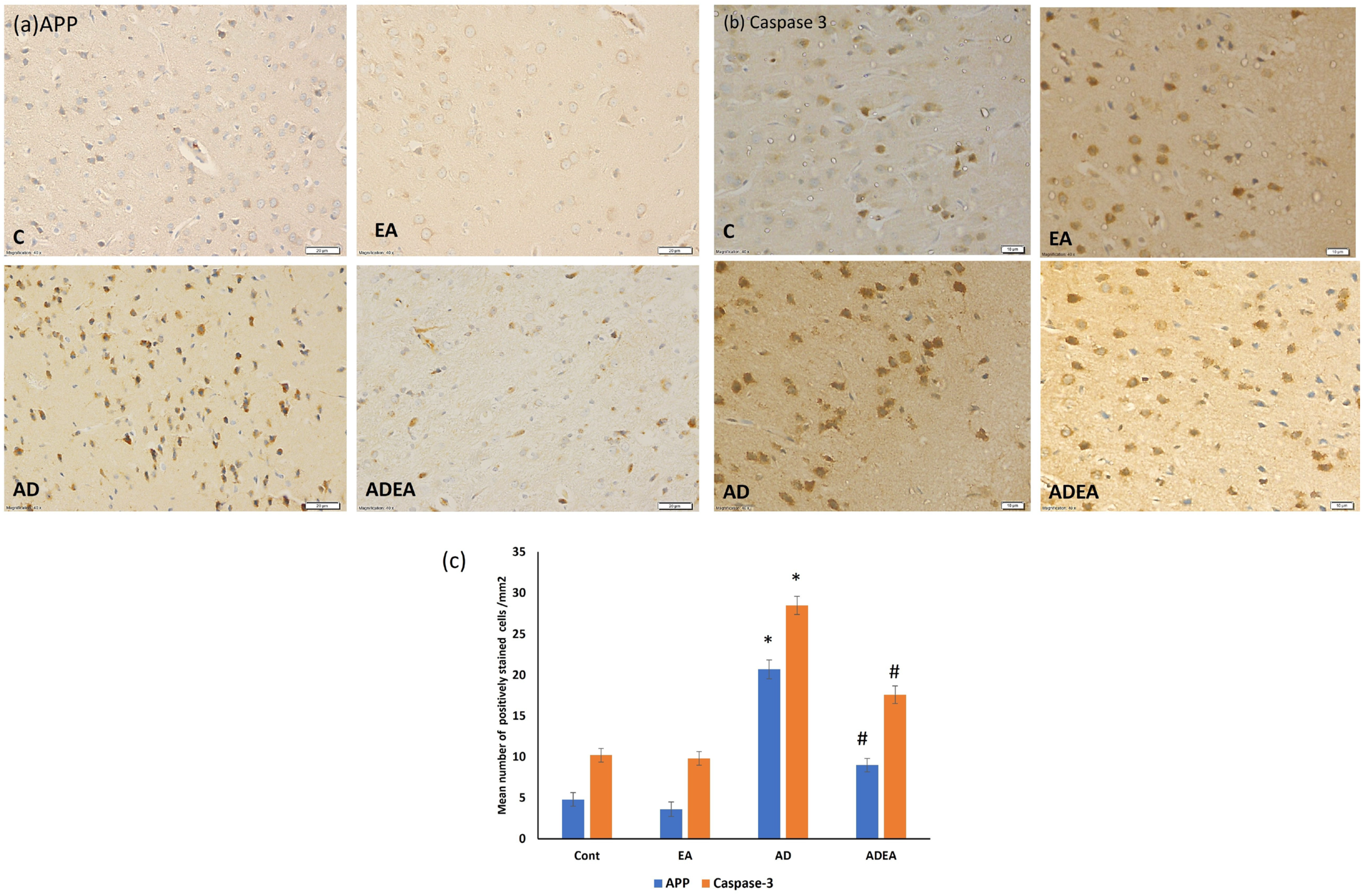 Cells 15 00108 g006 Cells 15 00108 g006