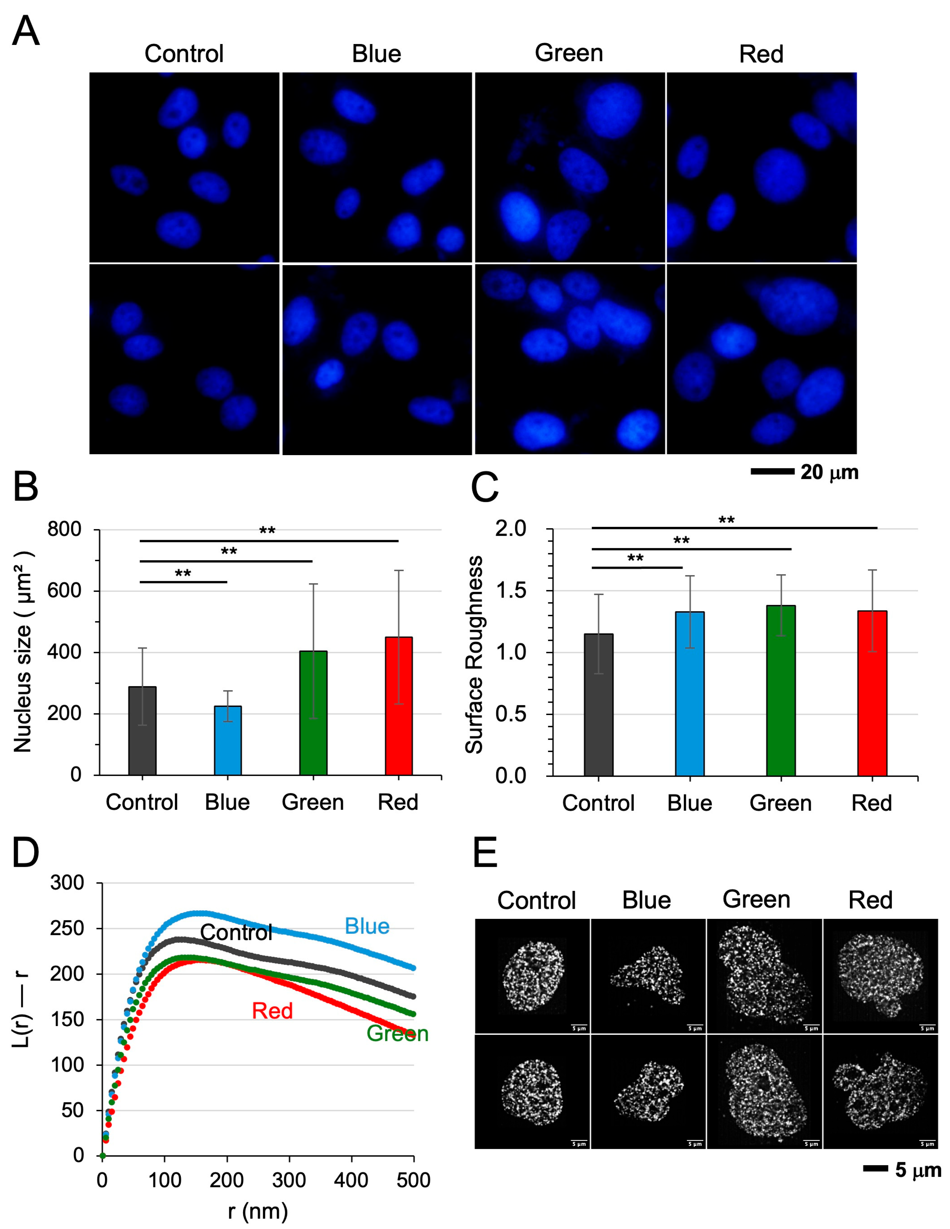 Cells 15 00113 g003 Cells 15 00113 g003