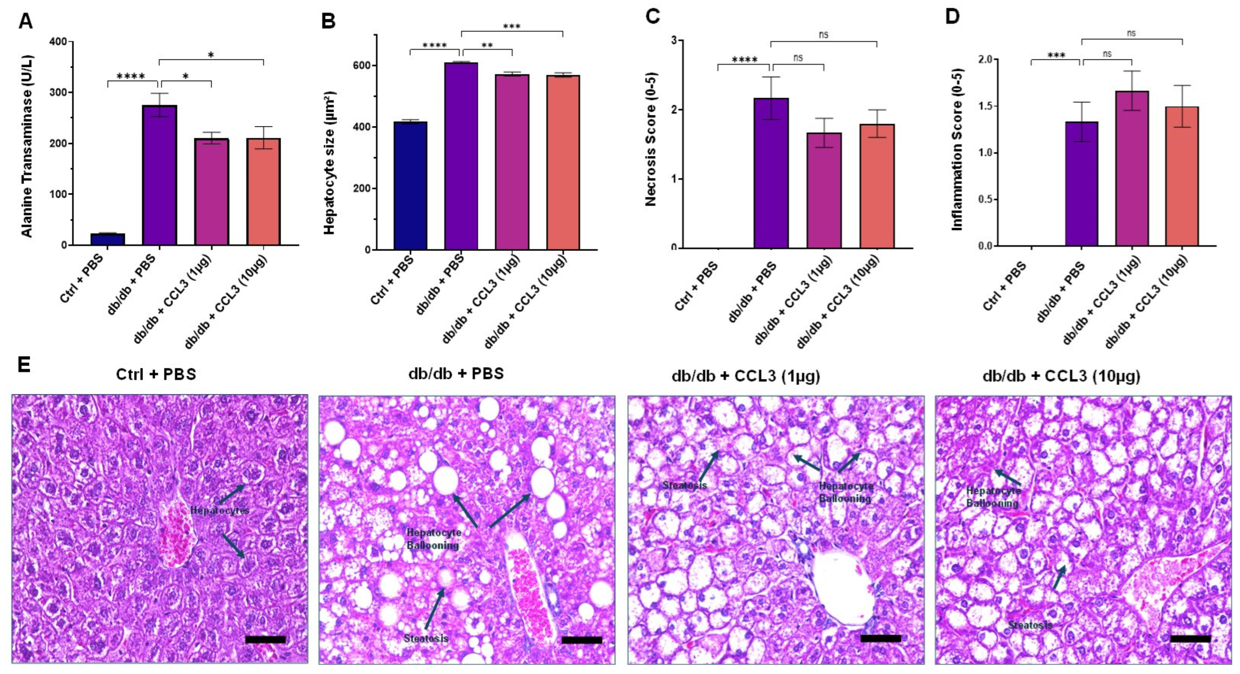 Cells 15 00120 g004 Cells 15 00120 g004