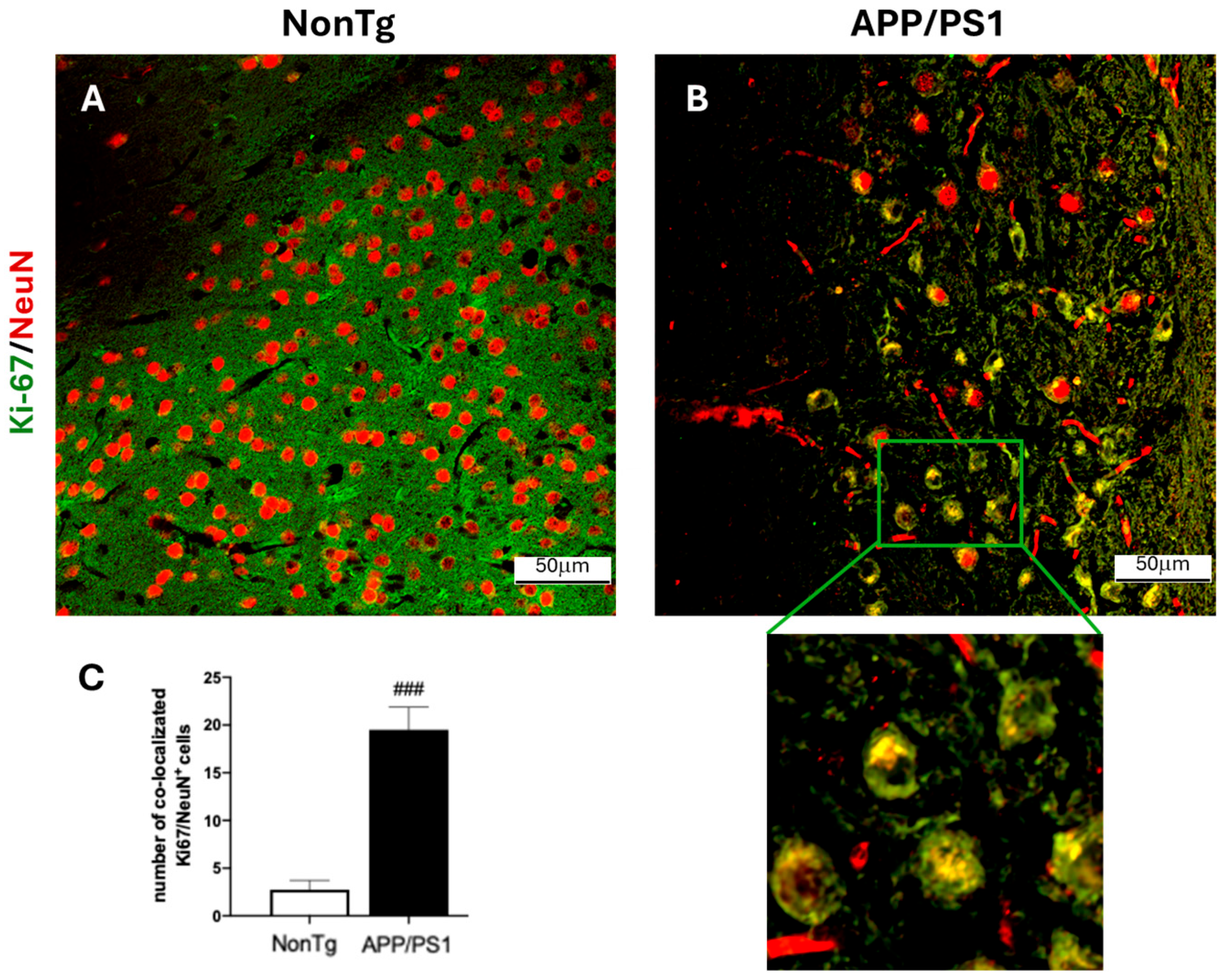 Cells 15 00132 g002 Cells 15 00132 g002