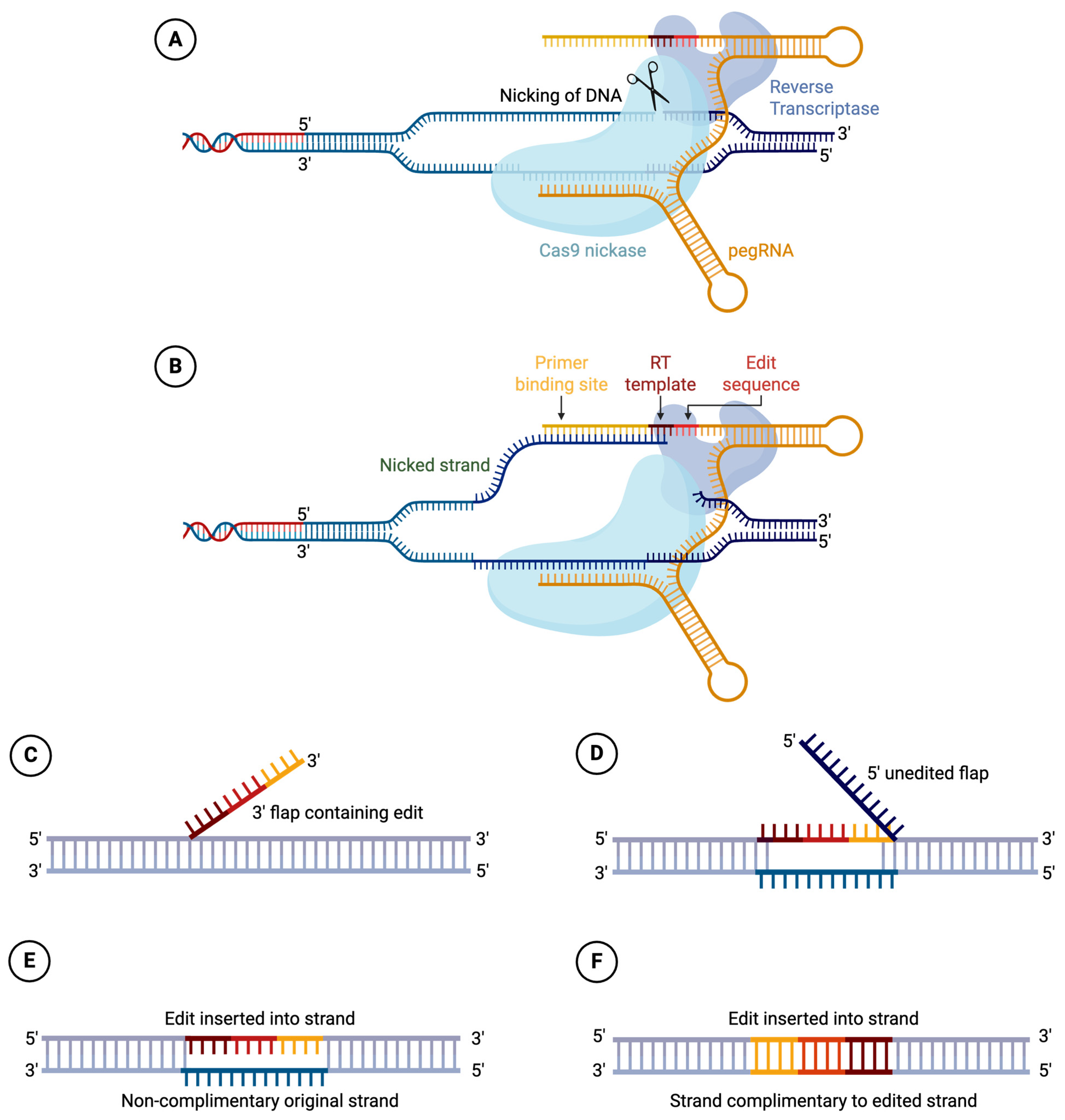 Cells 15 00134 g004 Cells 15 00134 g004
