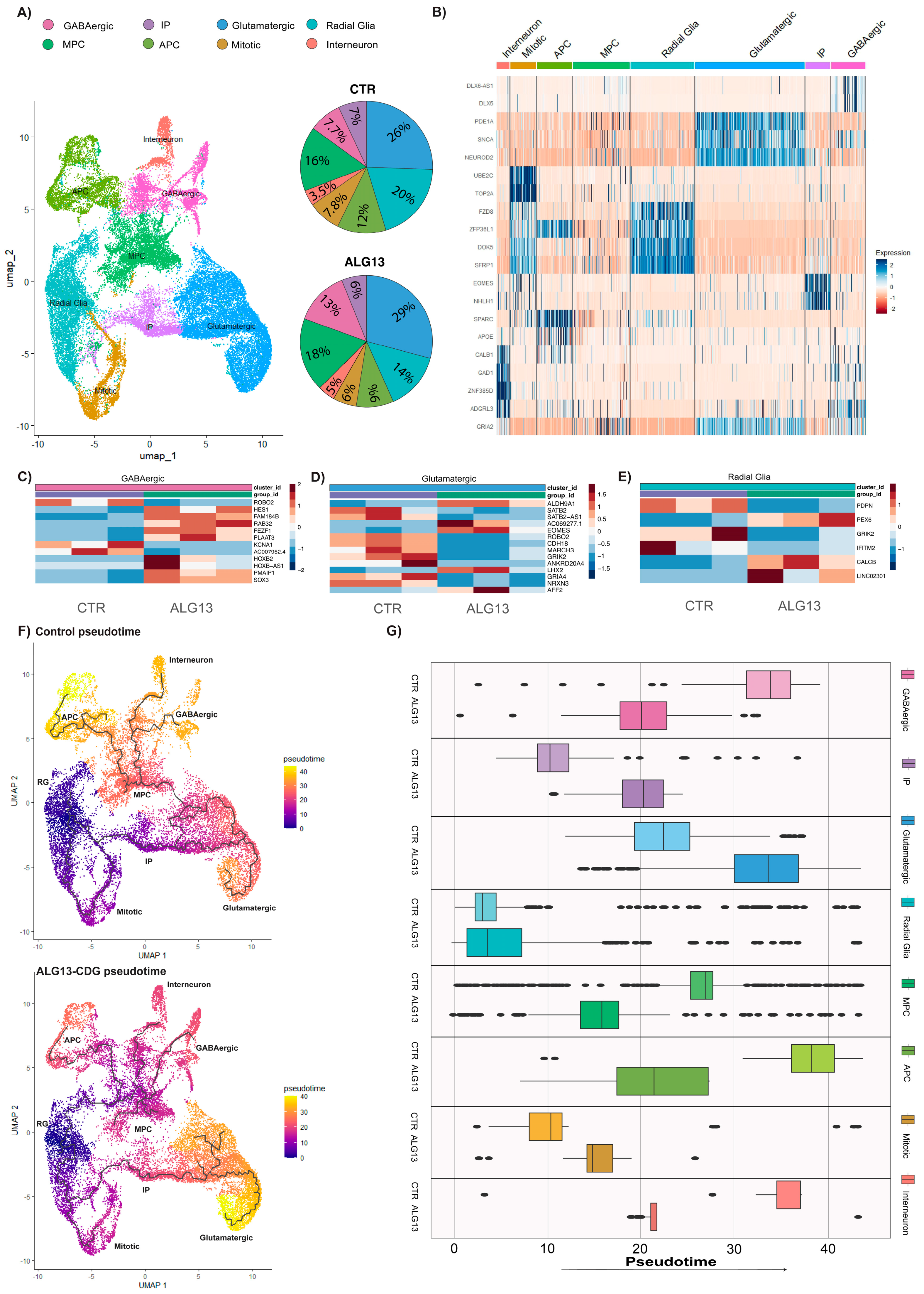 Cells 15 00147 g005 Cells 15 00147 g005