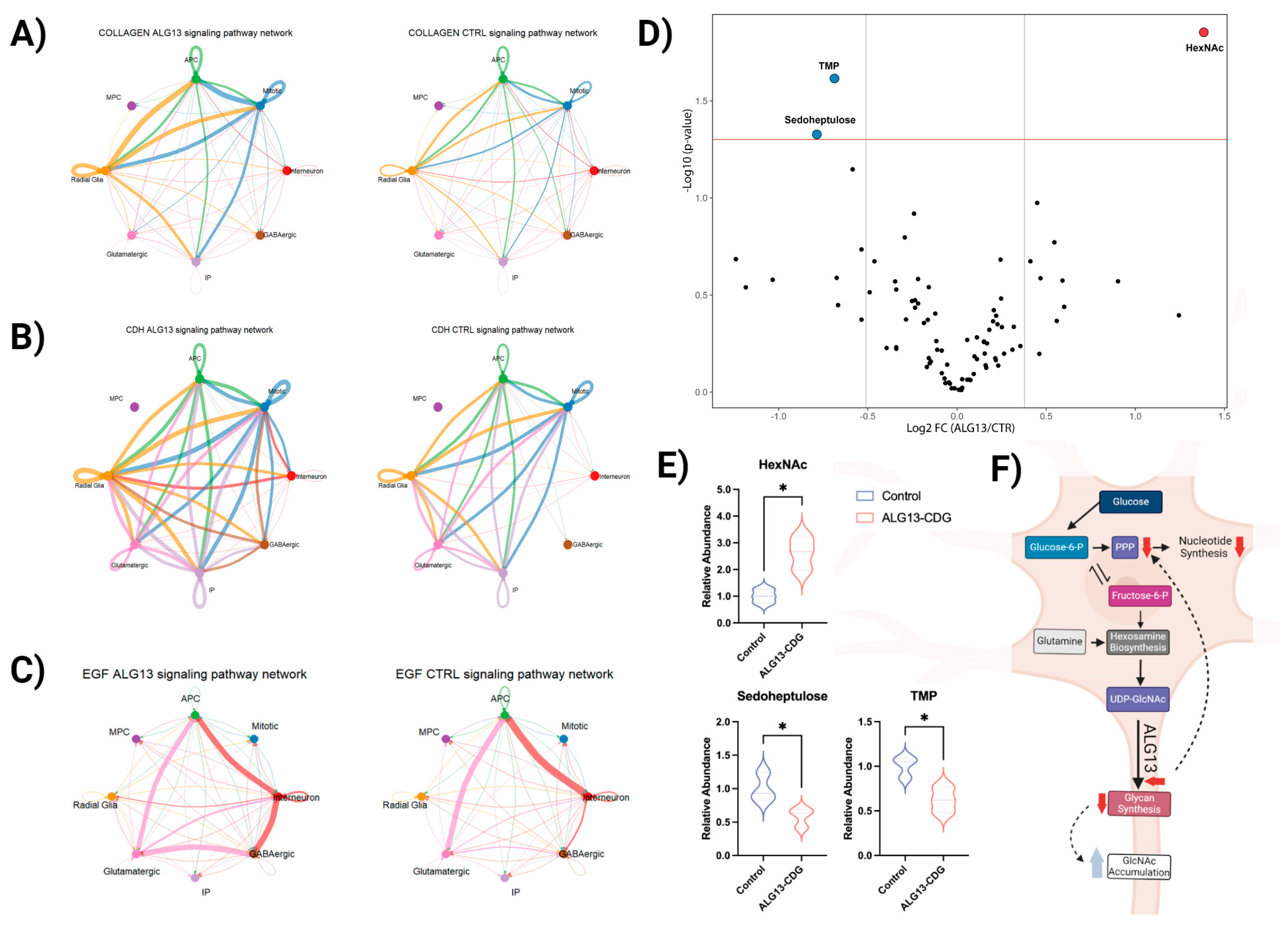 Cells 15 00147 g006 Cells 15 00147 g006