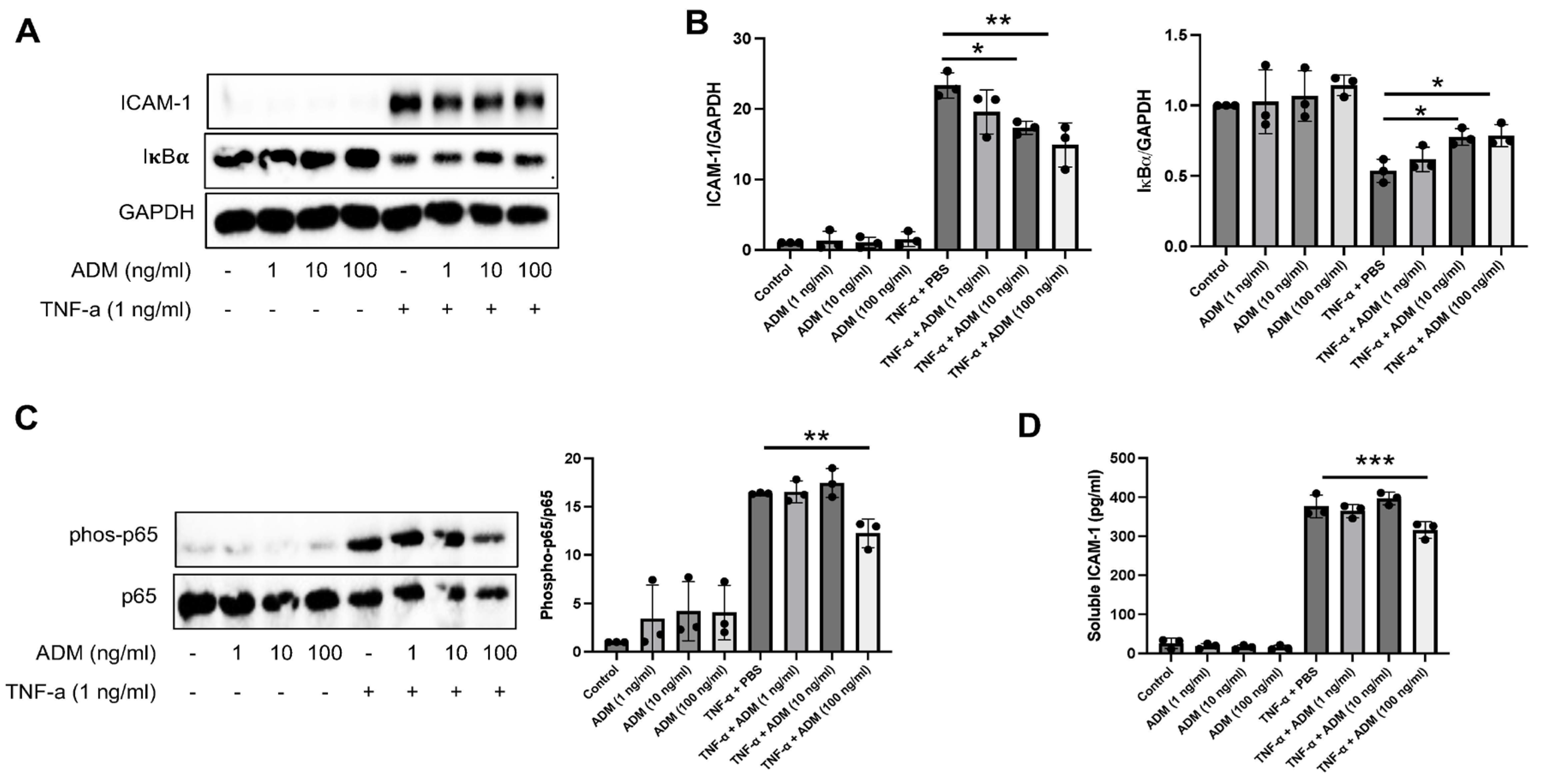 Cells 15 00152 g002 Cells 15 00152 g002