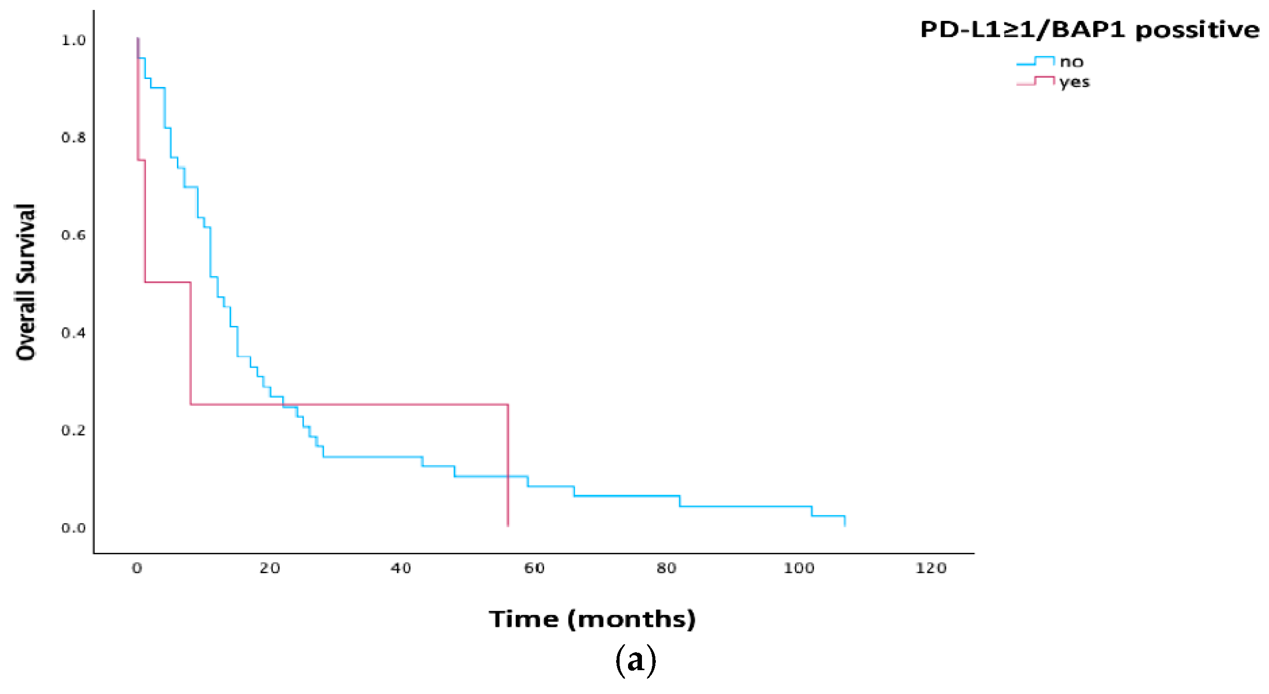 Cells 15 00183 g005a