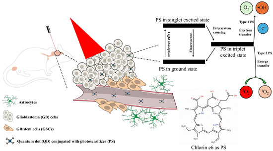 Advancing Bioconjugated Quantum Dots with Click Chemistry and