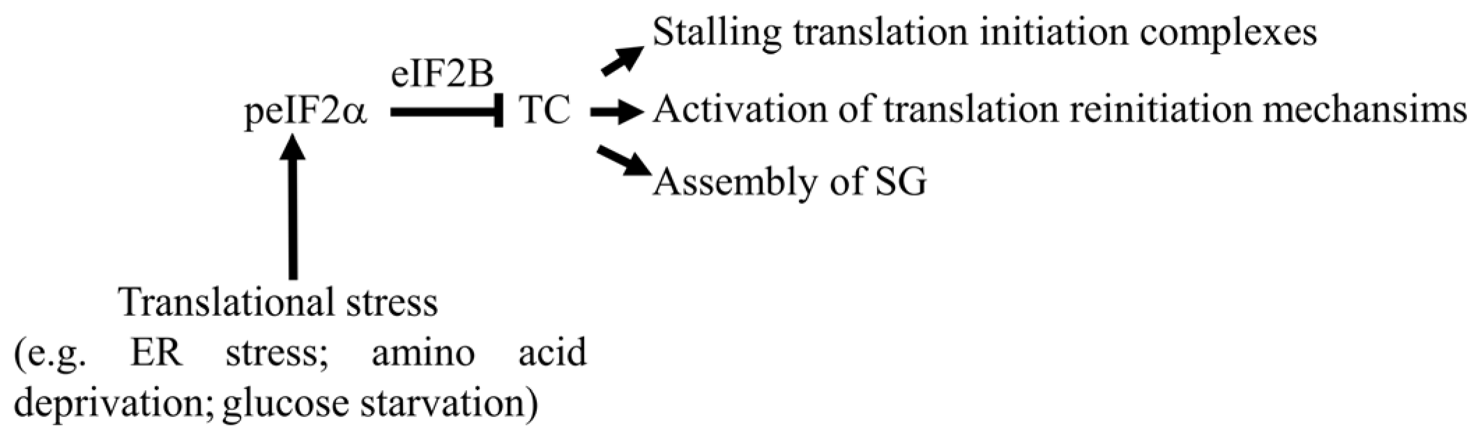 Cells 15 00188 g002 Cells 15 00188 g002