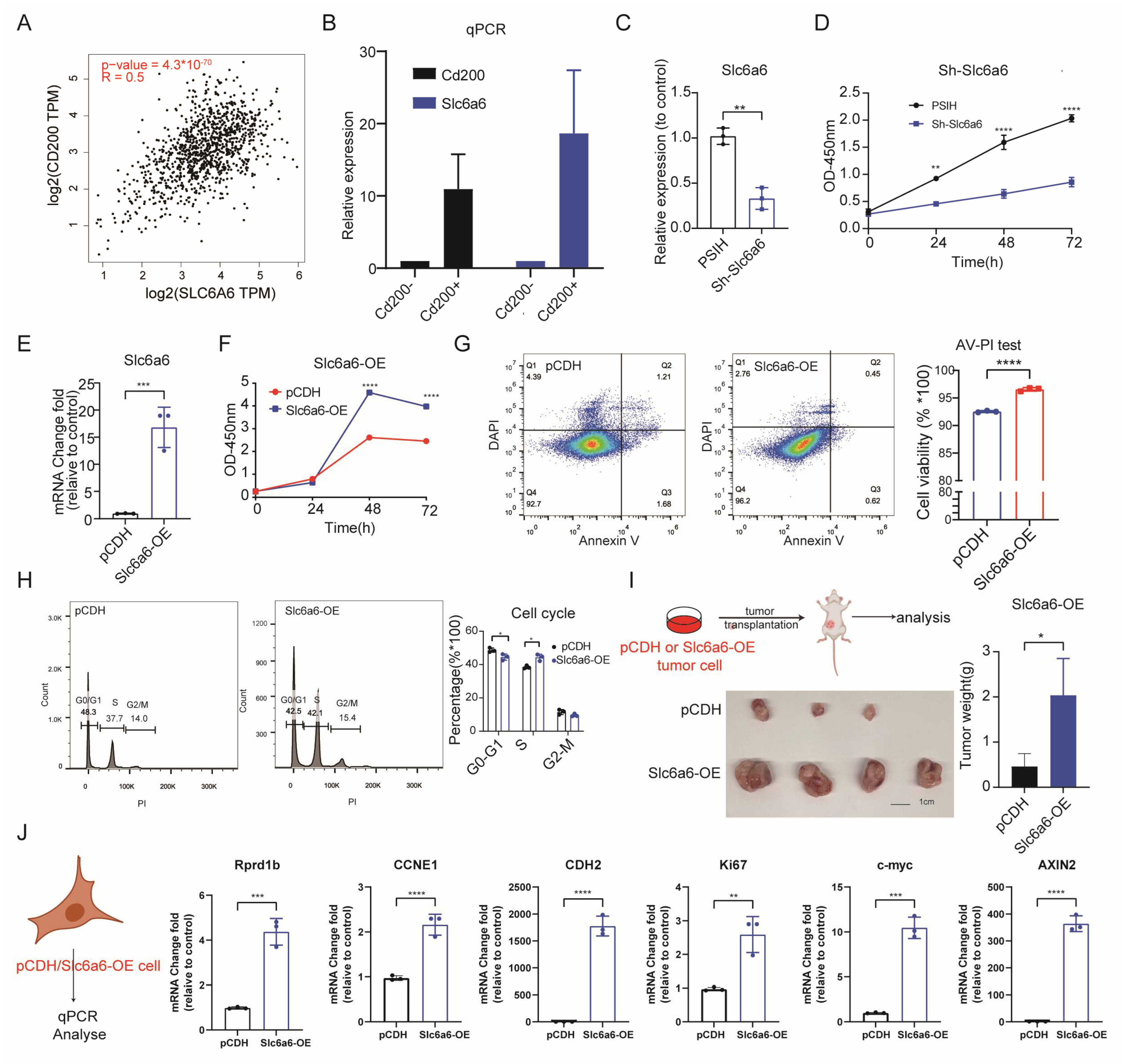 Cells 15 00207 g002