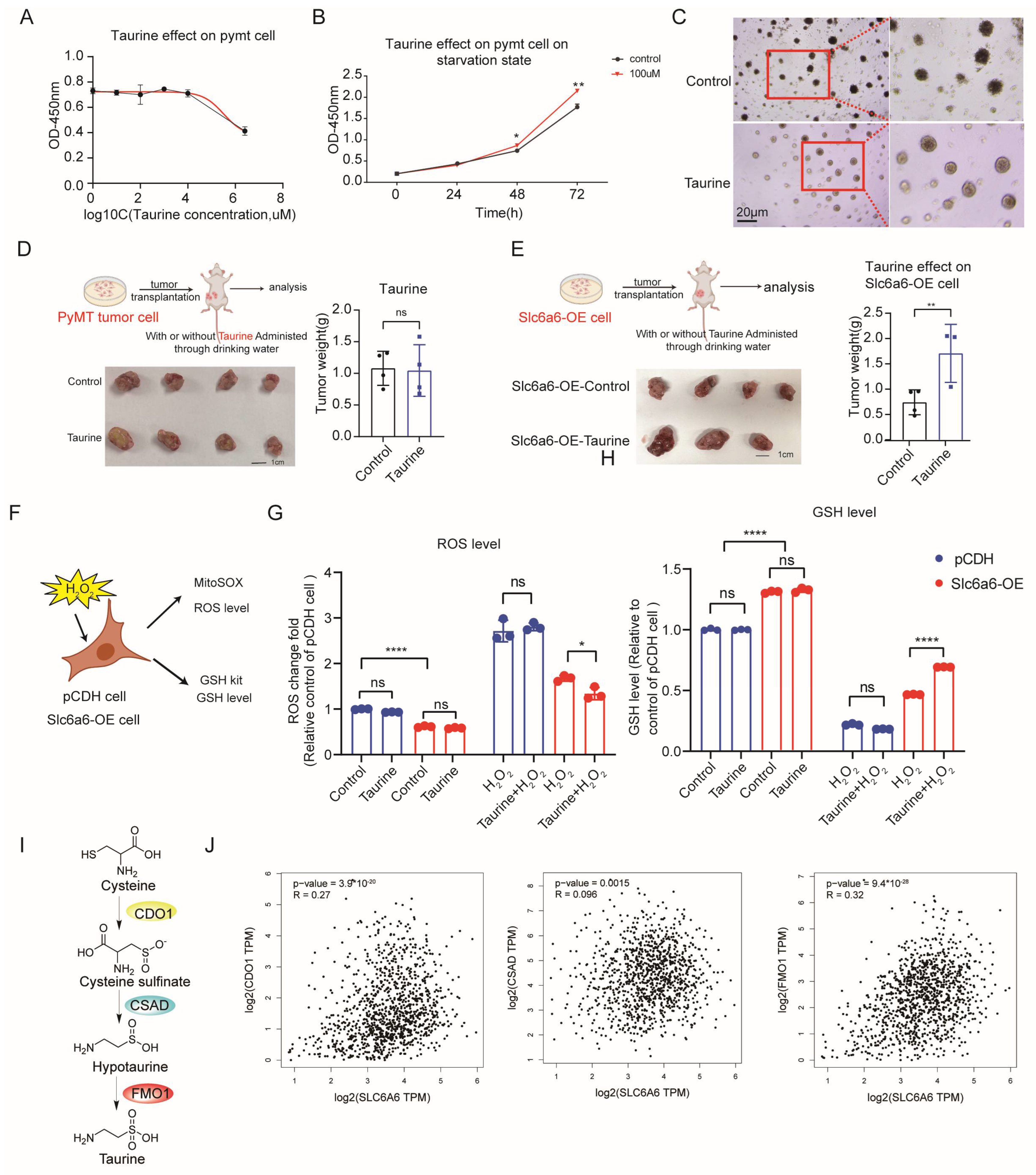 Cells 15 00207 g003