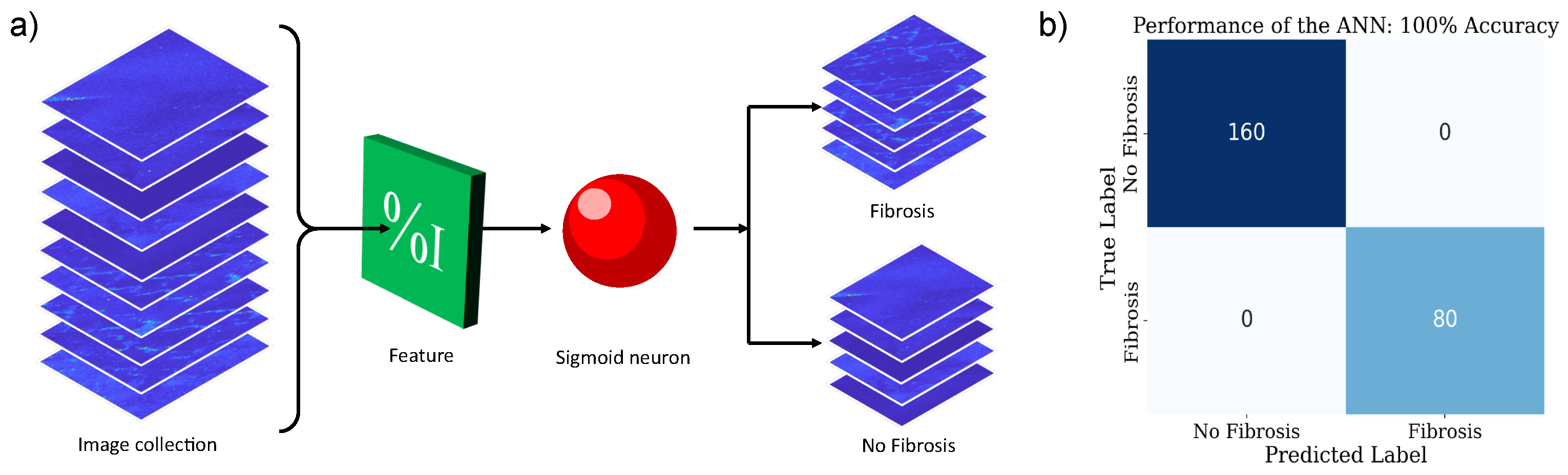 Cells 15 00214 g005 Cells 15 00214 g005