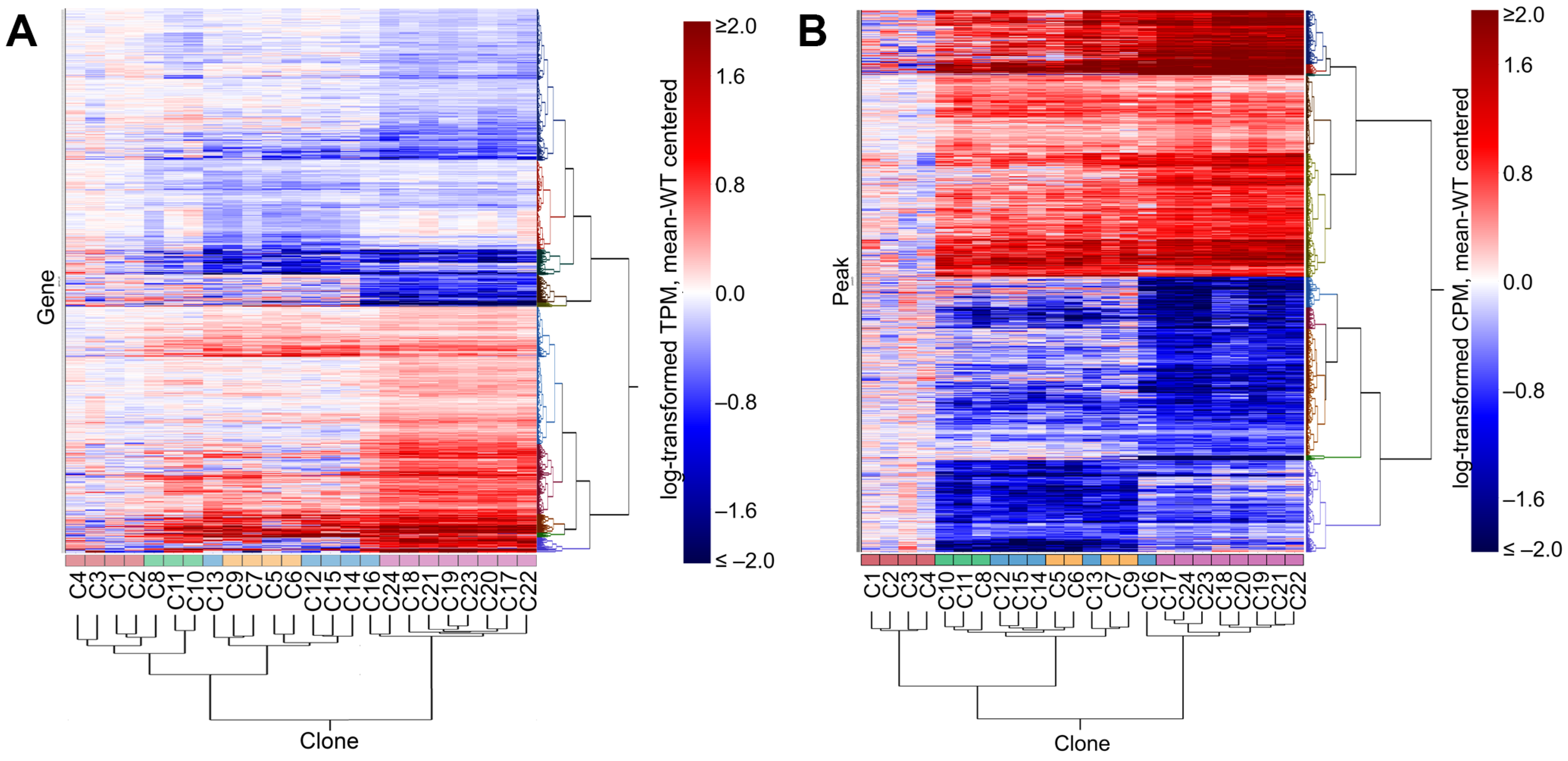 Cells 15 00221 g004 Cells 15 00221 g004