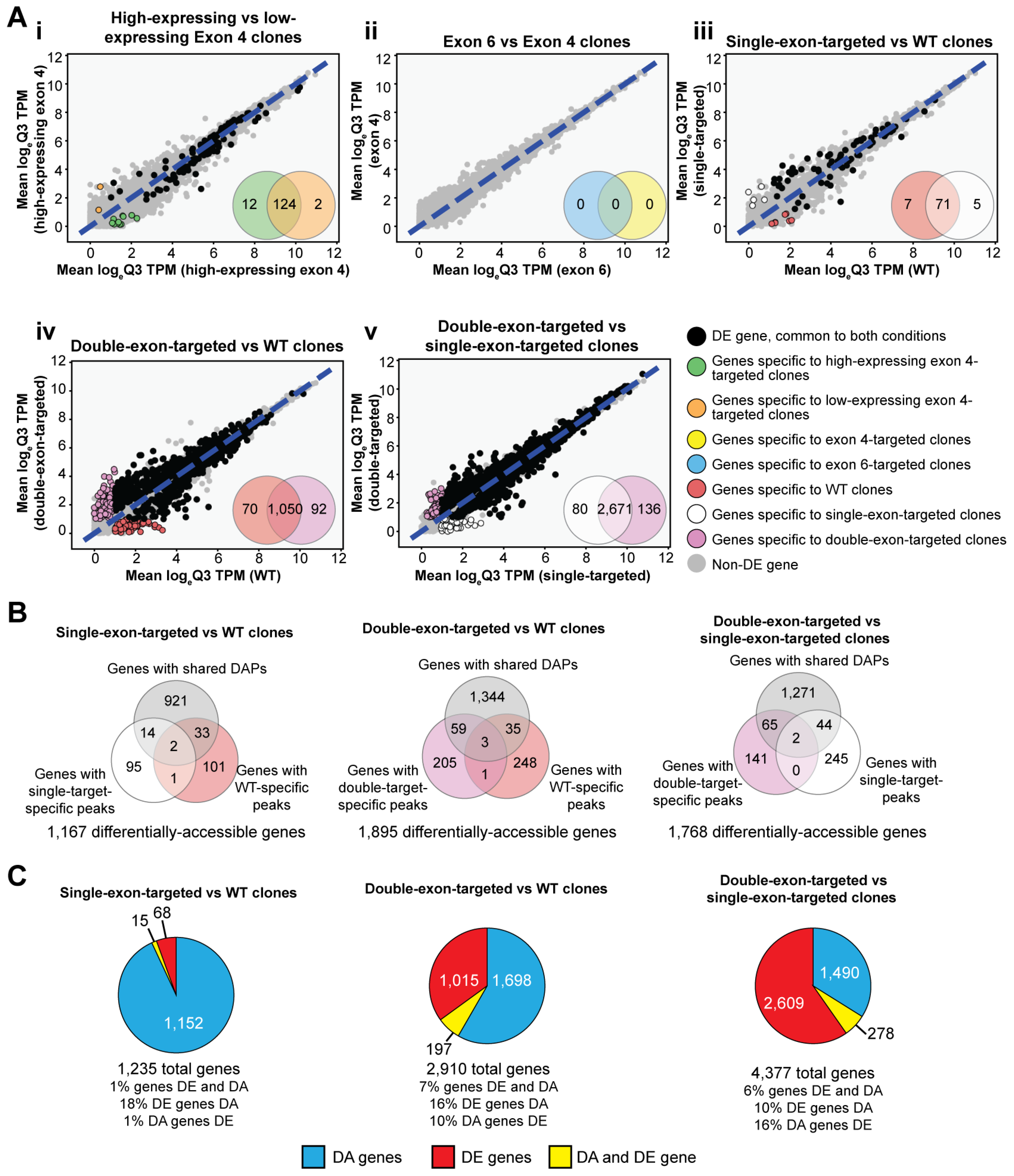 Cells 15 00221 g005 Cells 15 00221 g005