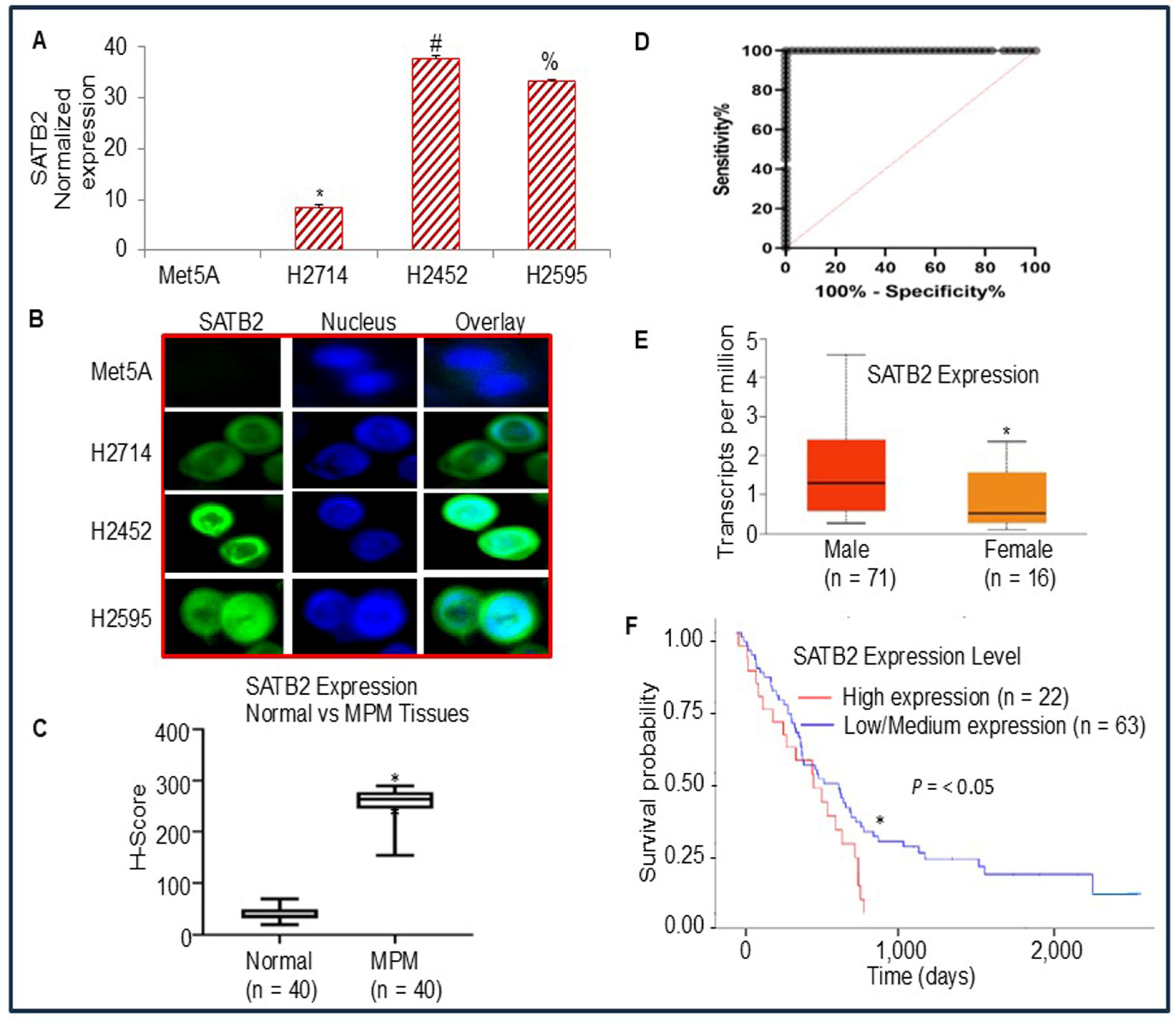 Cells 15 00283 g001 Cells 15 00283 g001