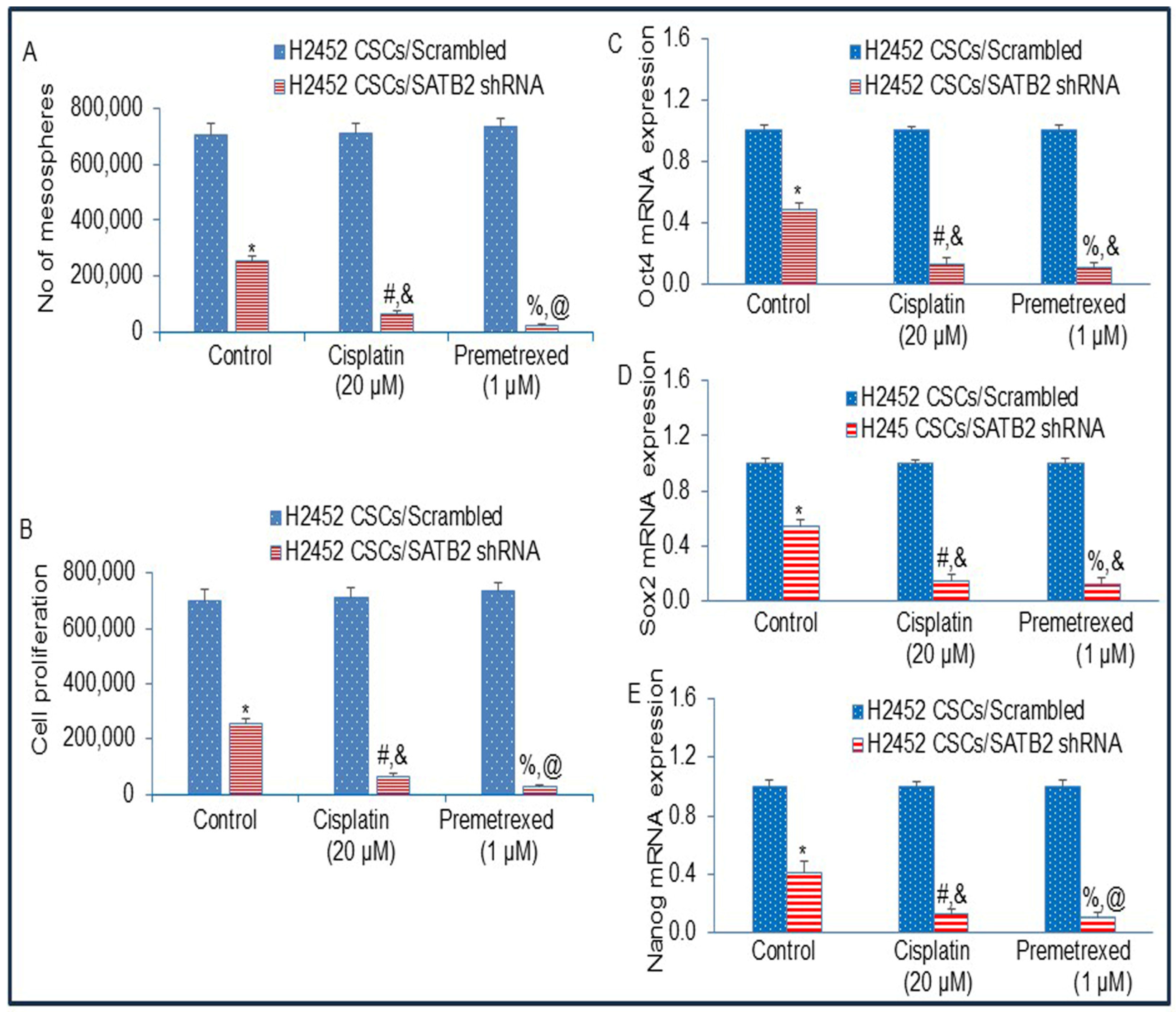 Cells 15 00283 g008 Cells 15 00283 g008