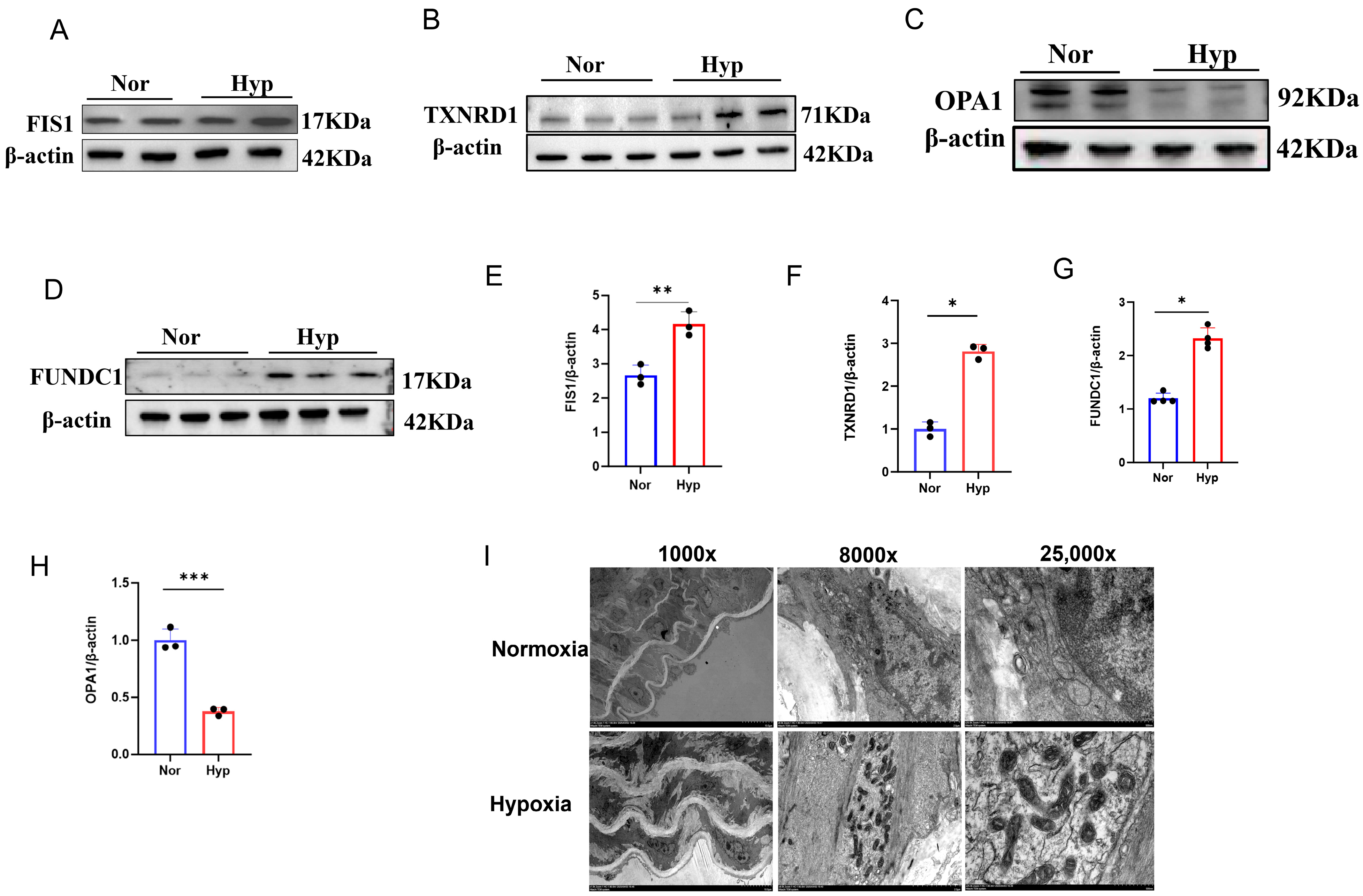 Cells 15 00301 g006