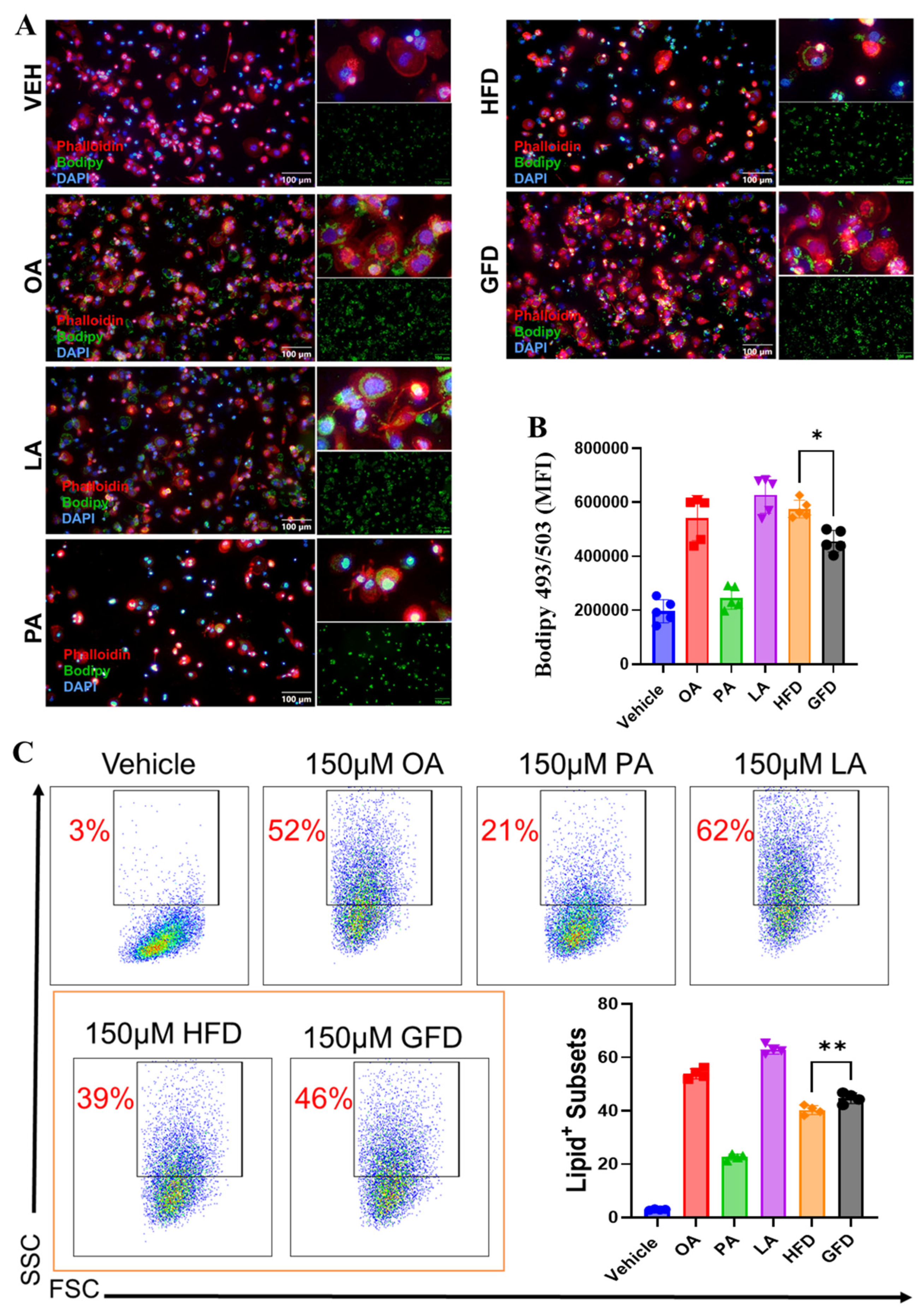 Cells 15 00308 g001