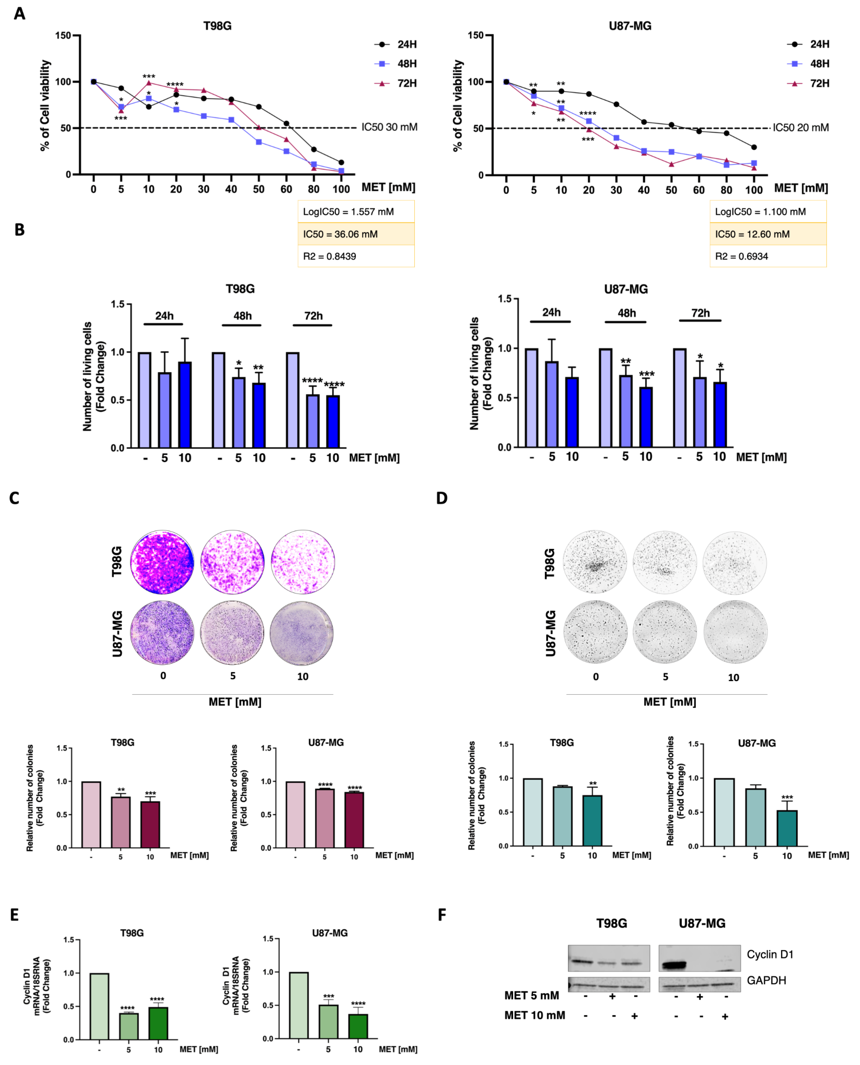 Cells 15 00310 g001