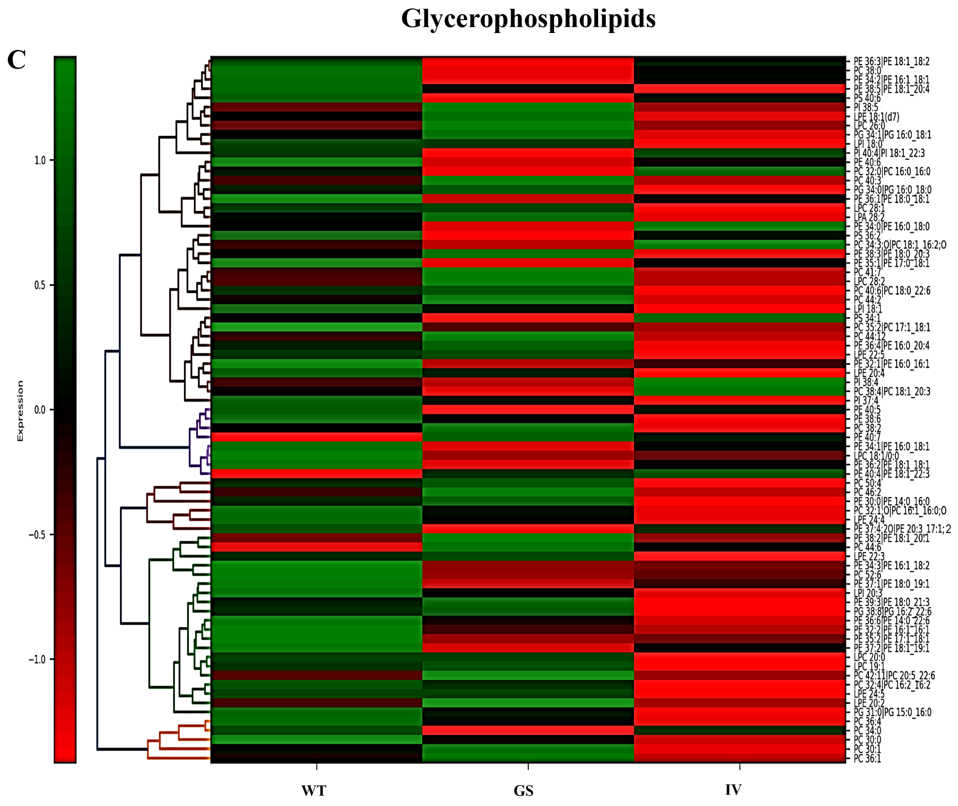 Cells 15 00342 g004c Cells 15 00342 g004c